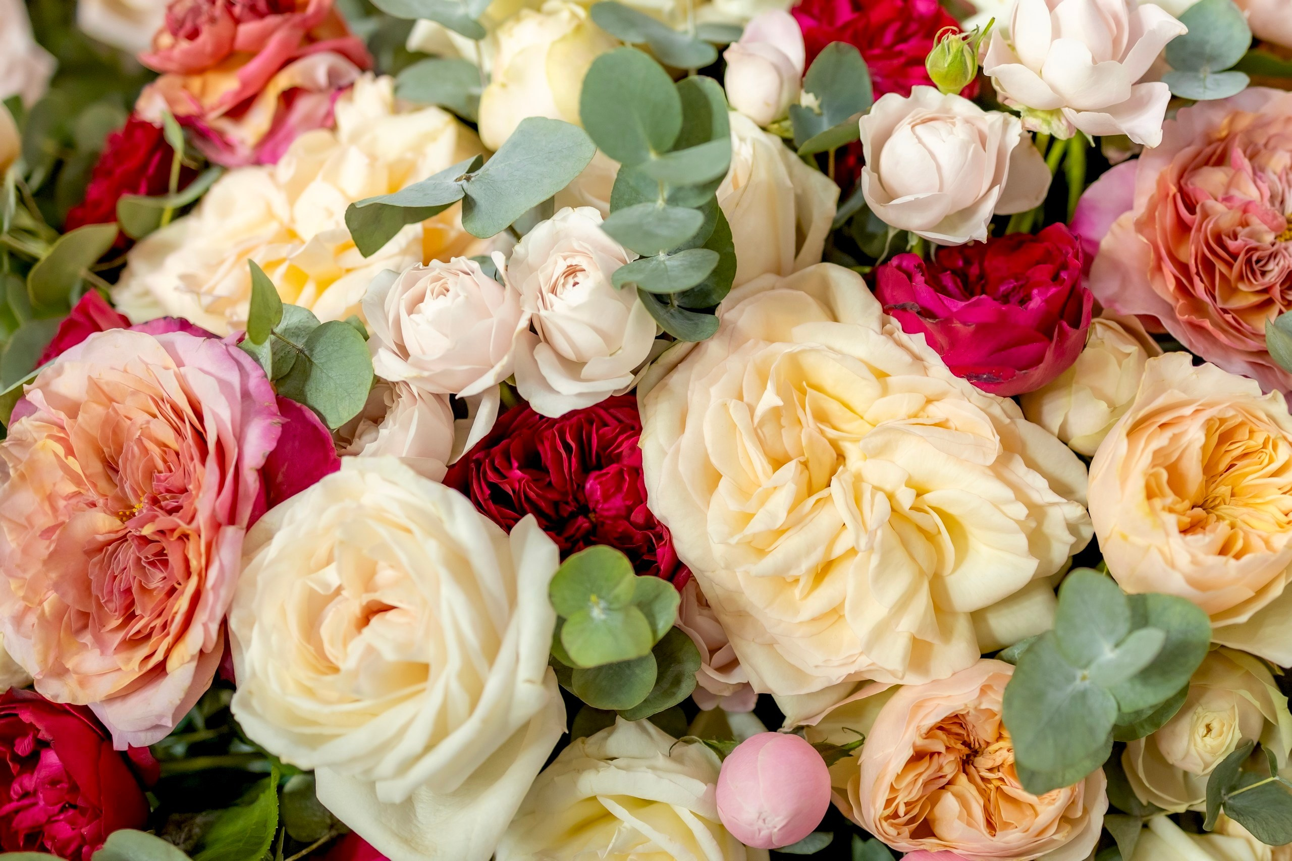 Цветы-Экспо 2024. Фотосессии и репортаж — Фотограф в Москве — Рина Серёгина