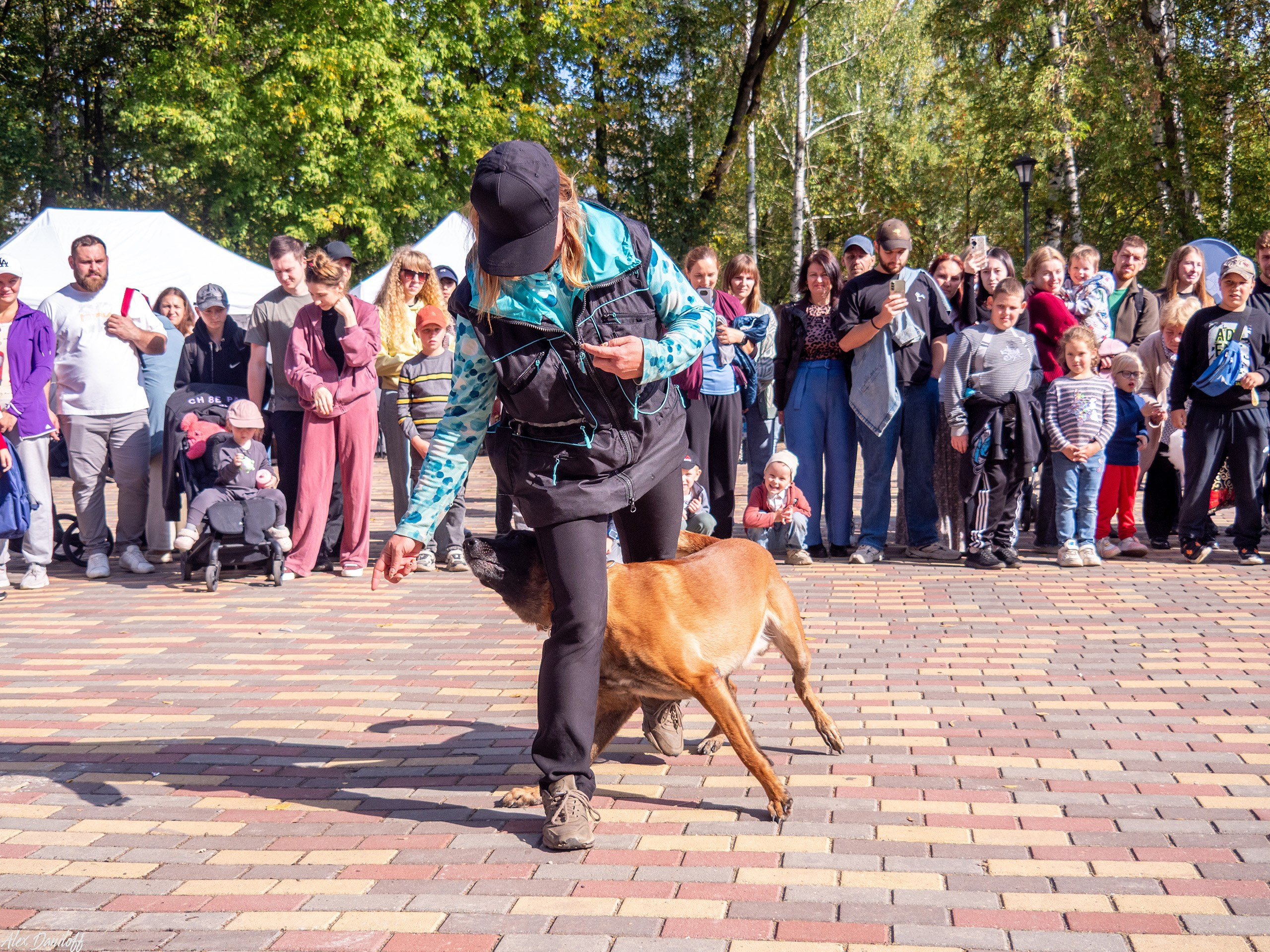 Обнимака 2025. Муром-Инфо. Новости культуры, образования, спорта в городе Муром