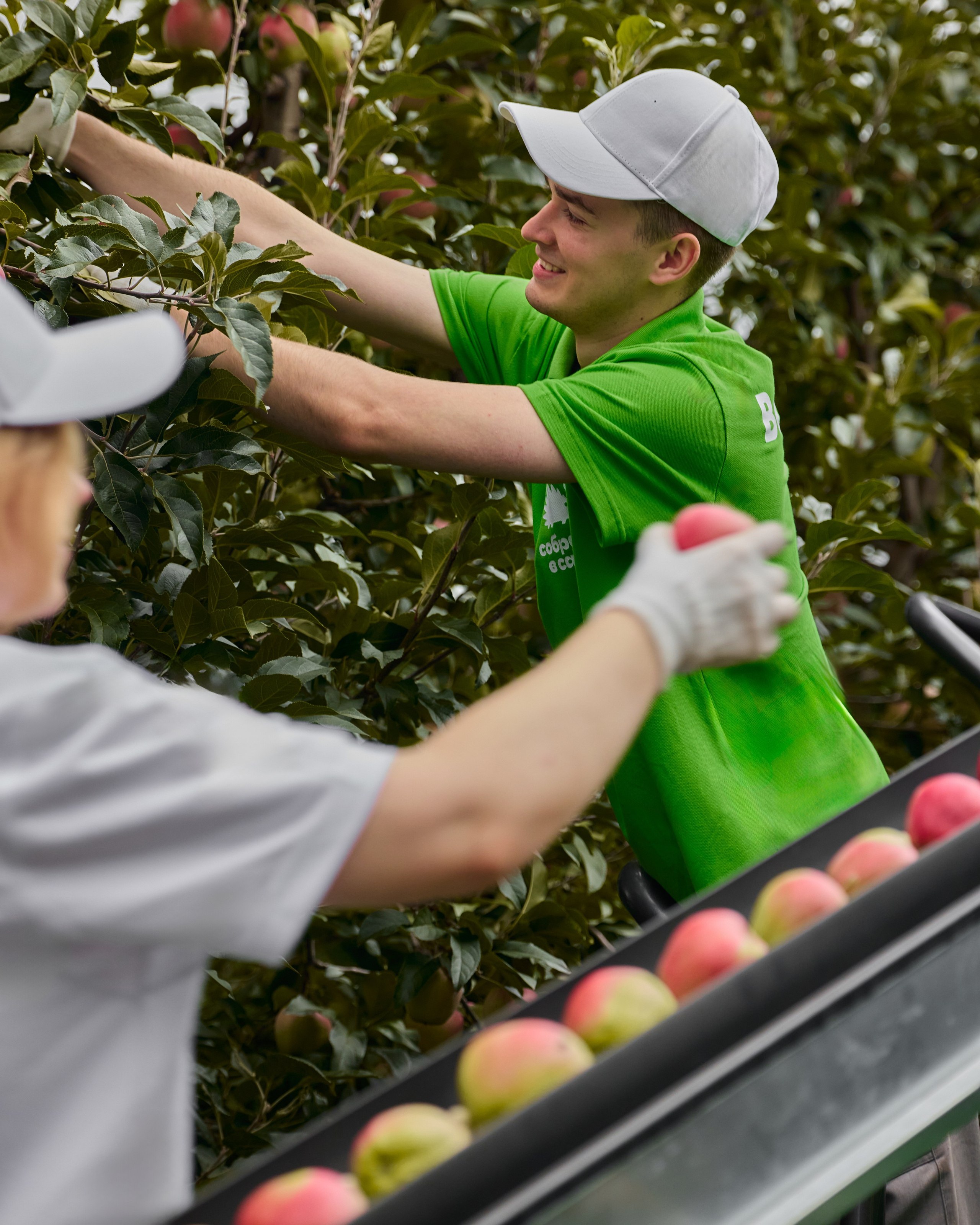 Собрано в саду. Святослав Лебедев | Рекламный фотограф — Коммерческая съемка, Арт-дирекшн, AI-интеграция