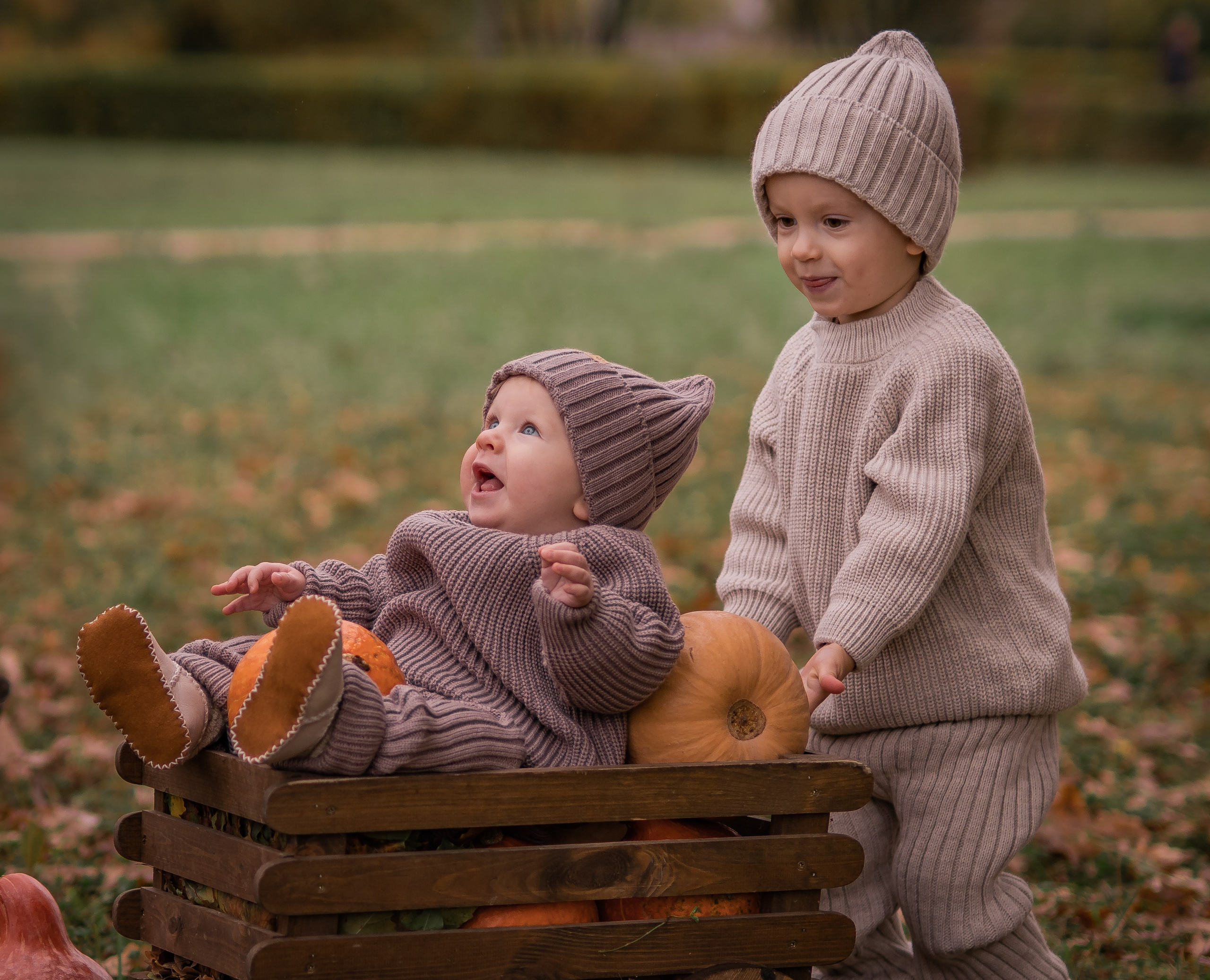 Осенняя история. Семейный фотограф Ефремова Виктория