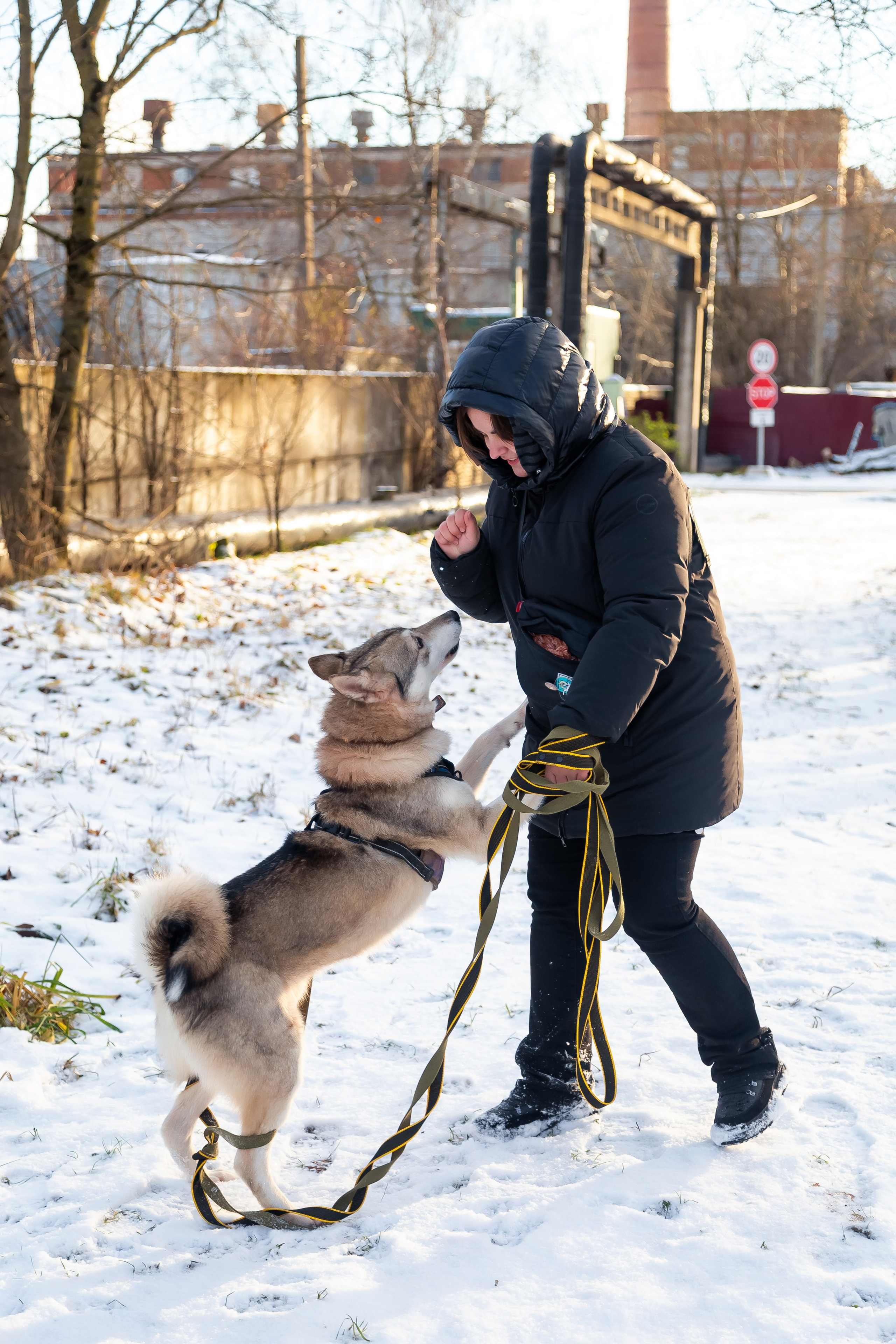 Petshop Забота. Фотограф в Санкт-Петербурге Чумаков Семен