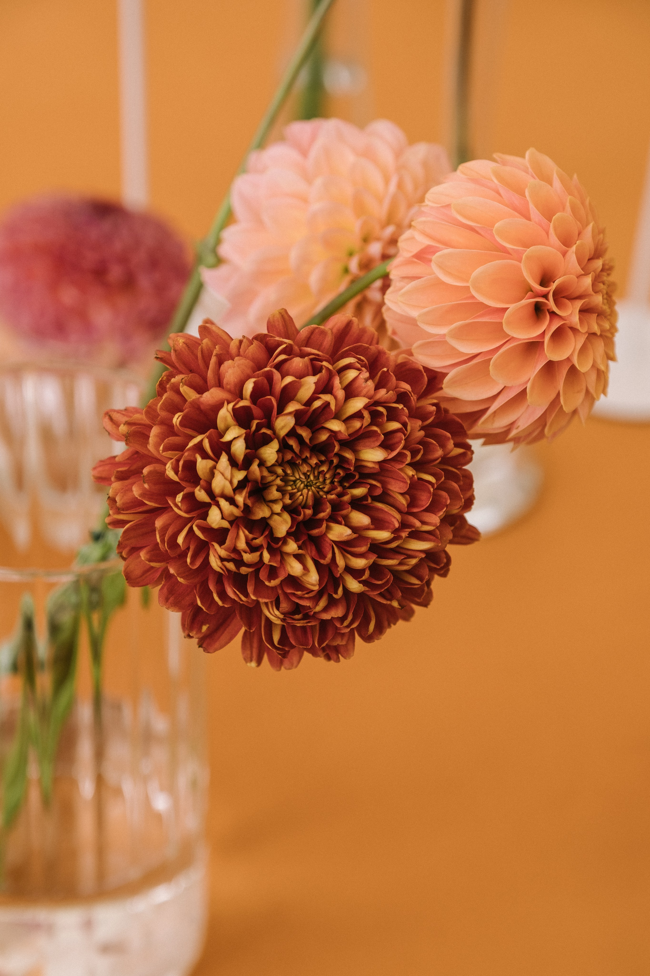 Сирак / Вероника. Свадебный Видеограф Фотограф в Сочи