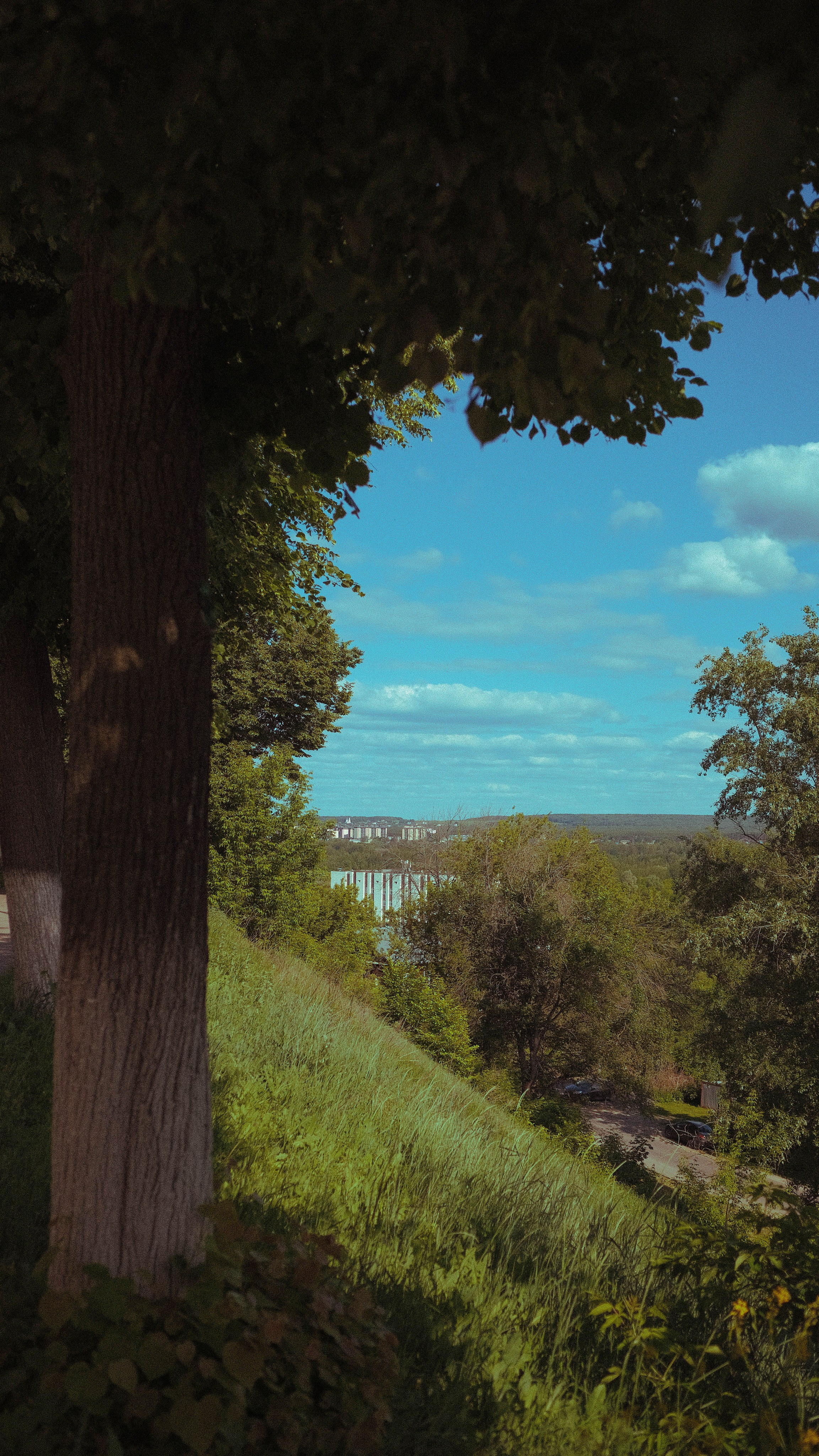 Владимир. LIYALEE PHOTO