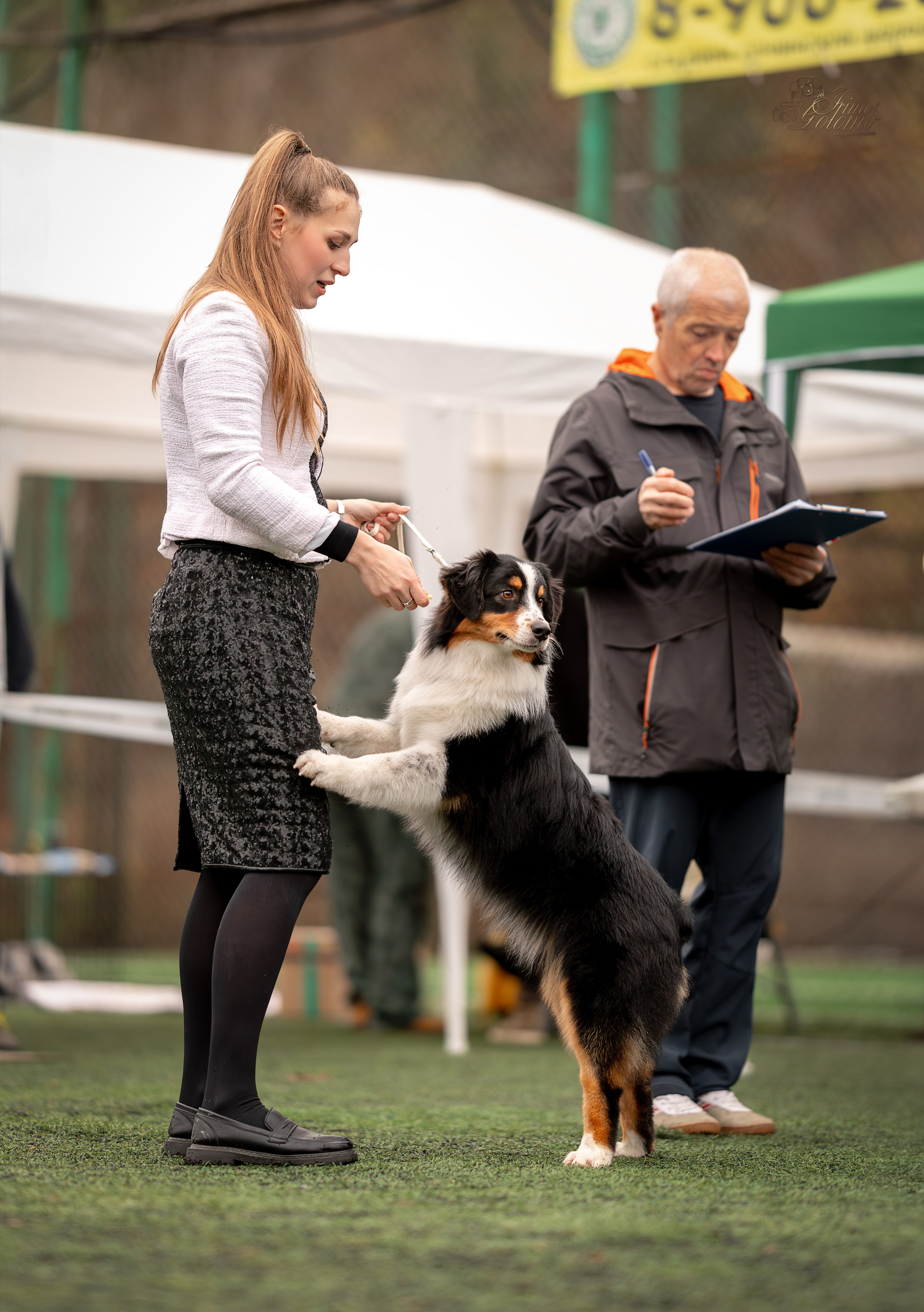 Выставка 17.12.23. Ирина Голомб|Фотограф-анималист в  Сочи и Калининграде