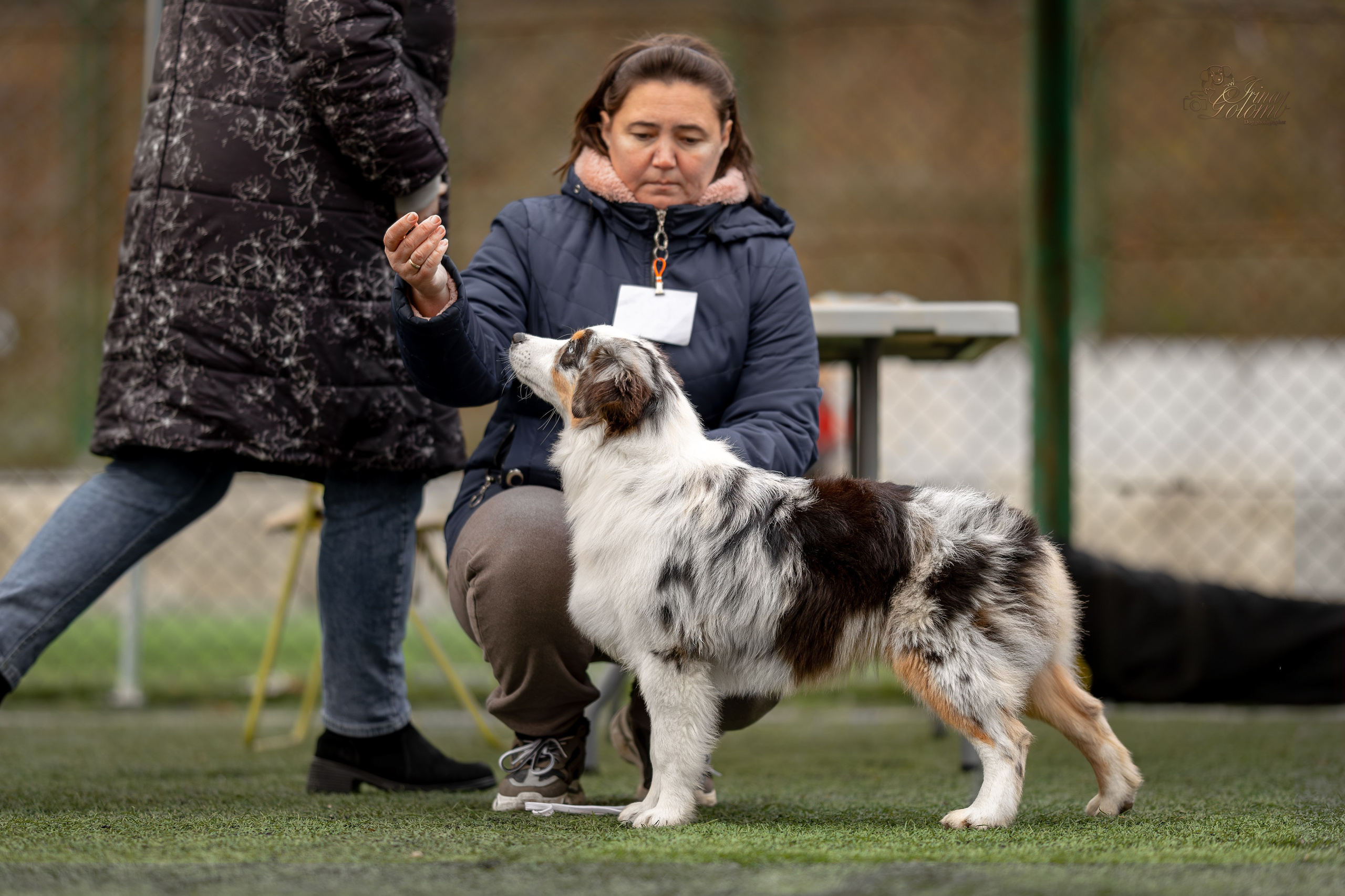 Выставка 17.12.23. Ирина Голомб|Фотограф-анималист в  Сочи и Калининграде