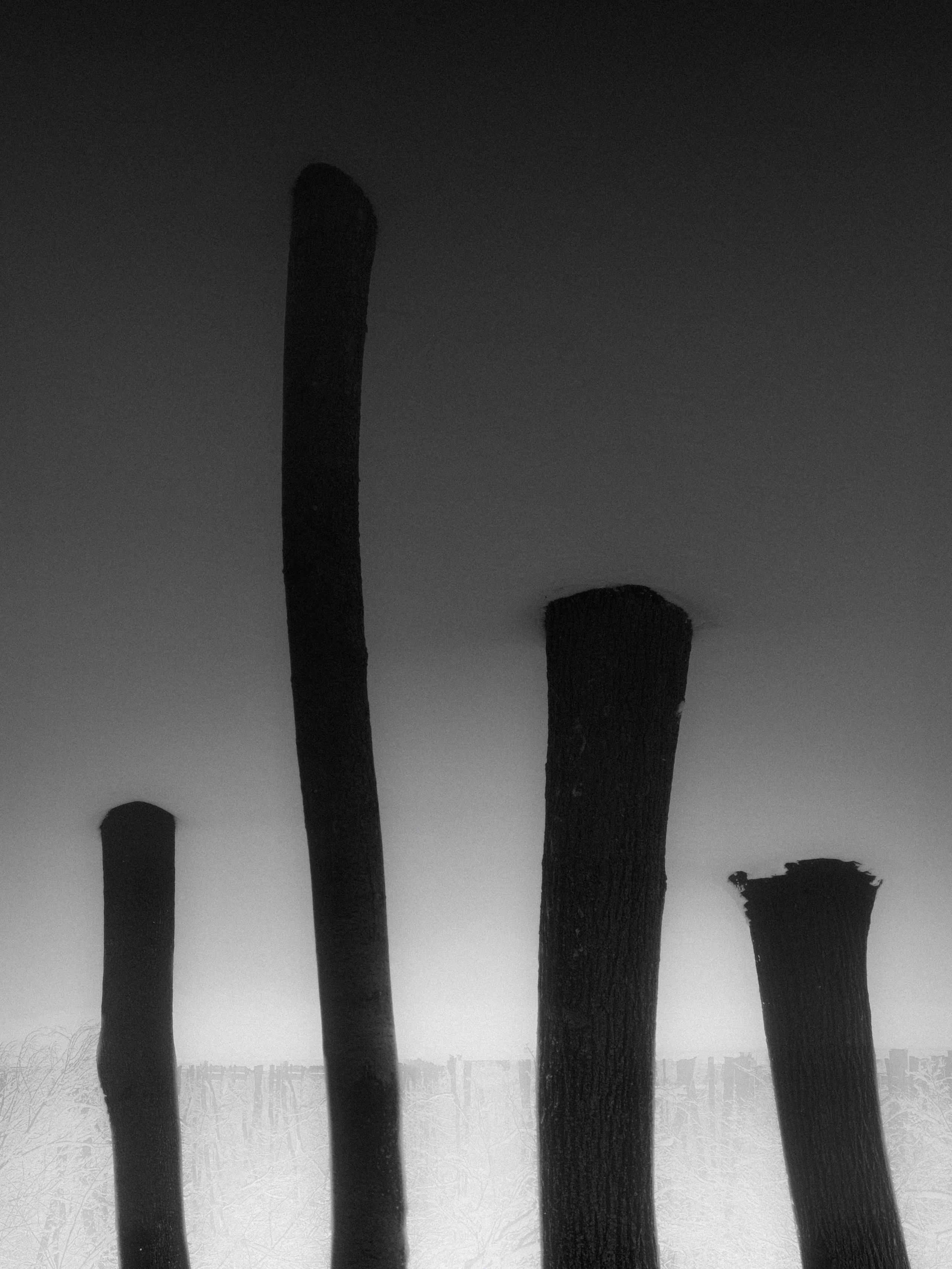 Точка черного. Сафонов Владислав, фотохудожник