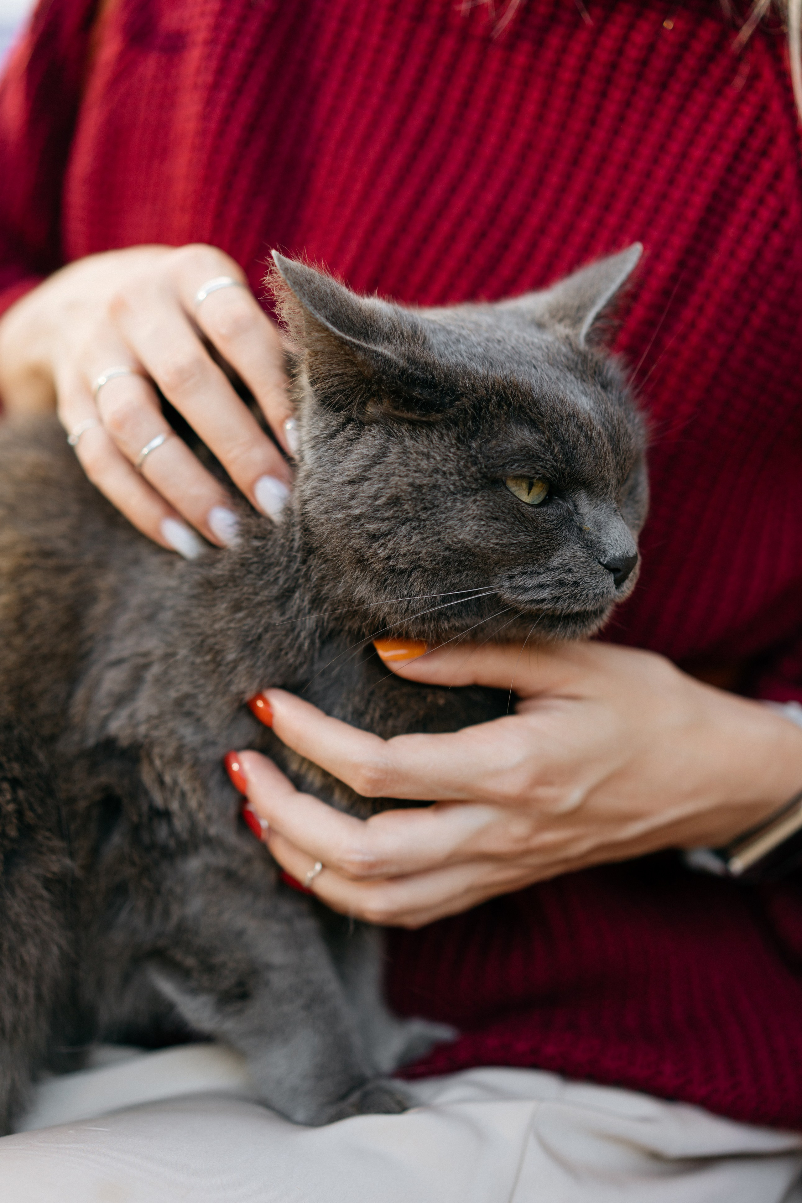 Зеленоградск. Свадебный и семейный фотограф в Калининграде Анастасия Гриценко