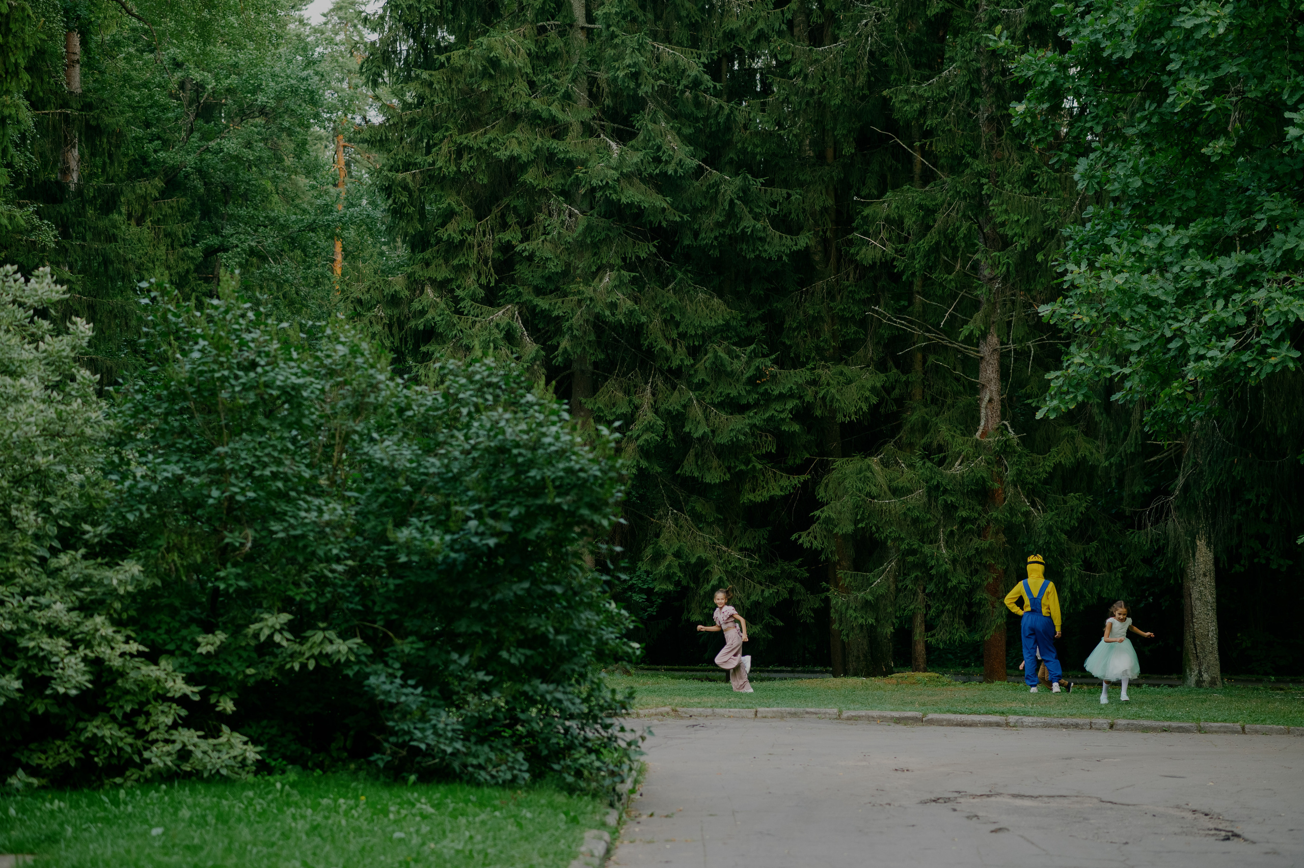 S&L. Свадебный и репортажный фотограф