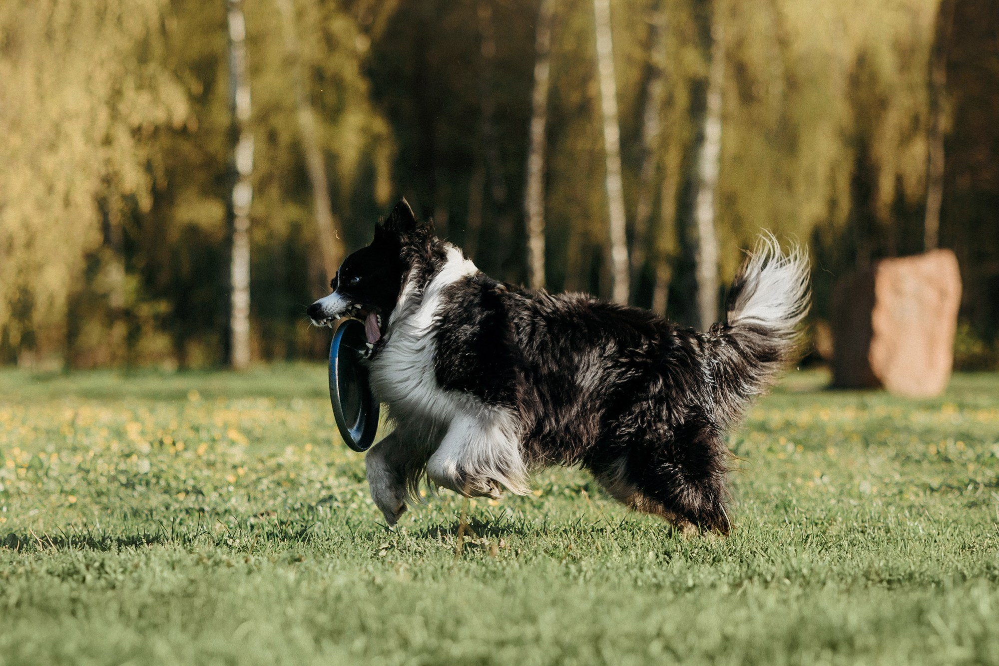 Аня и Иден. Фотограф-анималист Елена Радченко, Москва