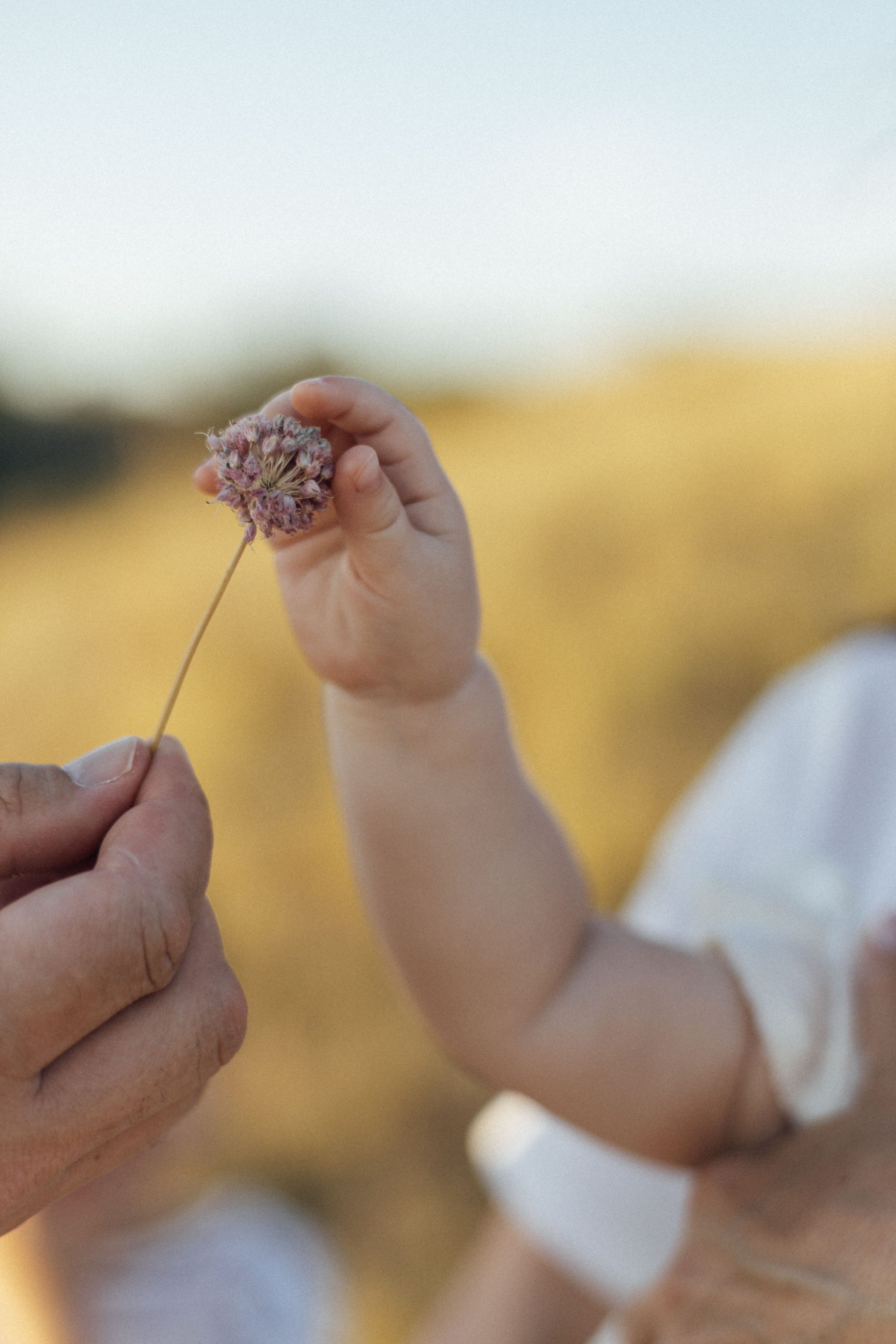 Полина + Артем + Глеб + Юсина. Семейный фотограф Елена Баган Волгоград