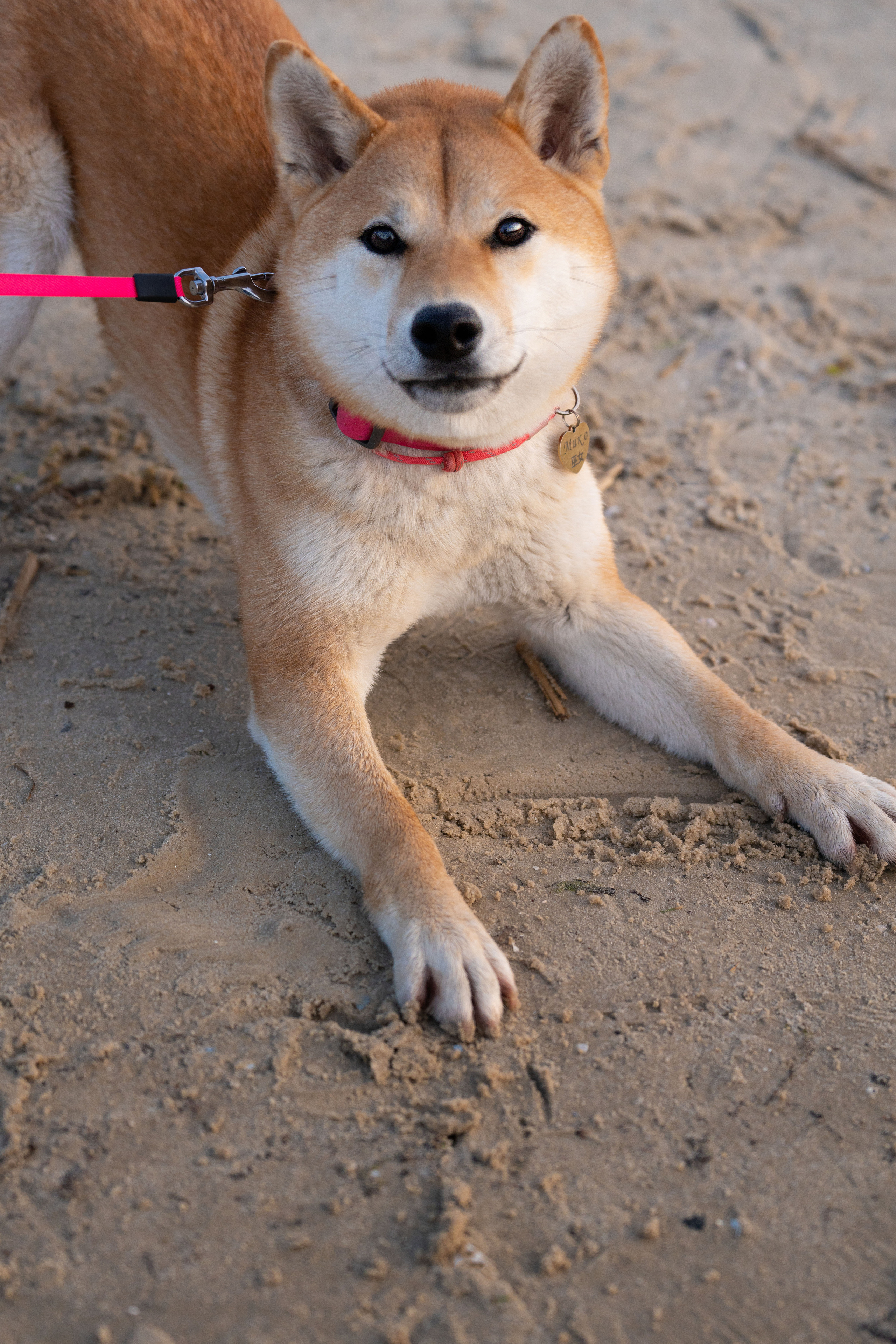 Катя и Мико. Фотограф в Ростове-на-дону Анна Рыкова