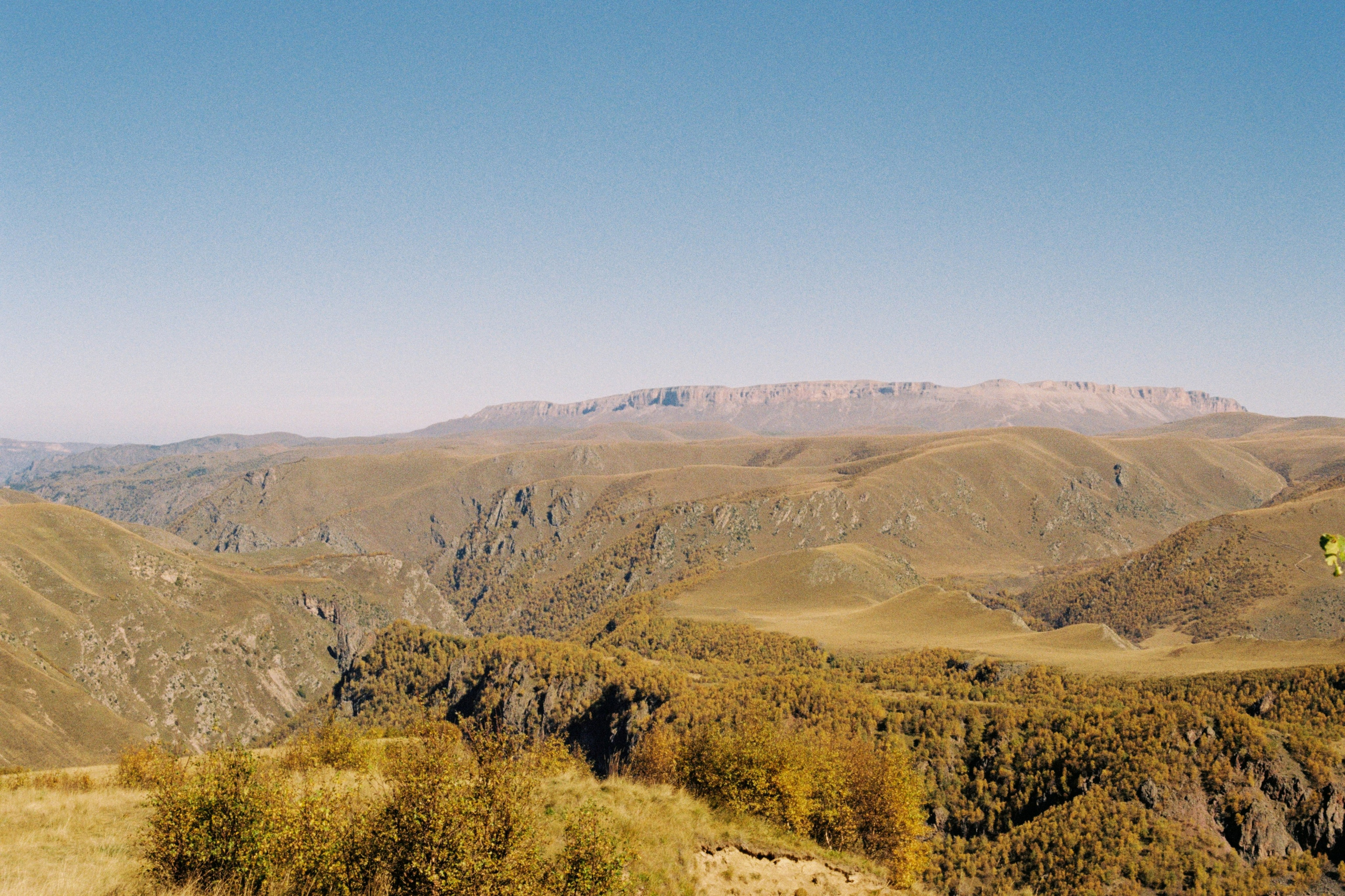 KAVKAZ. Kirill Shashkov