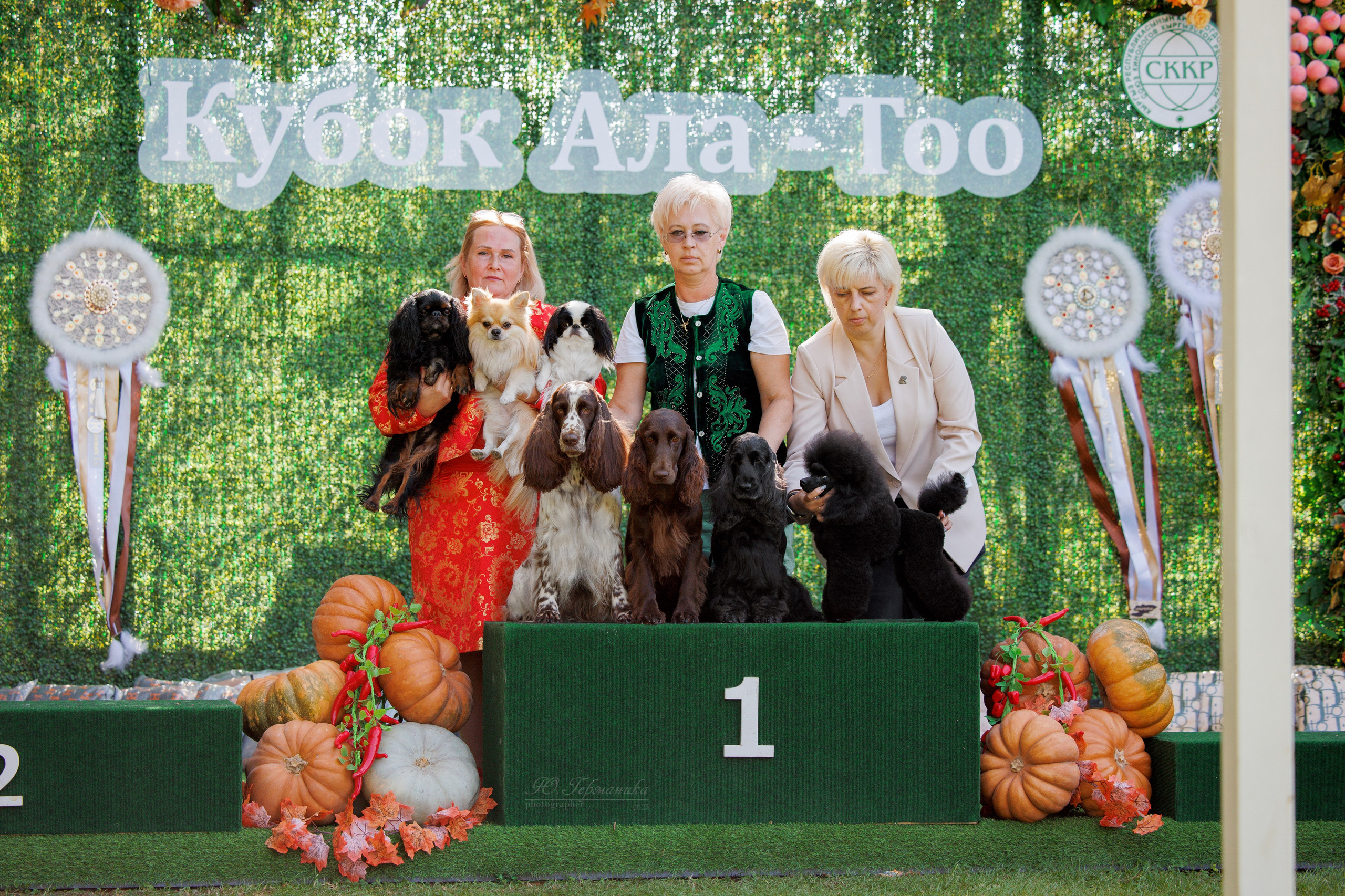 Бишкек 3х CACIB 26-28.09.2025. Фотограф-анималист Юлия Германика