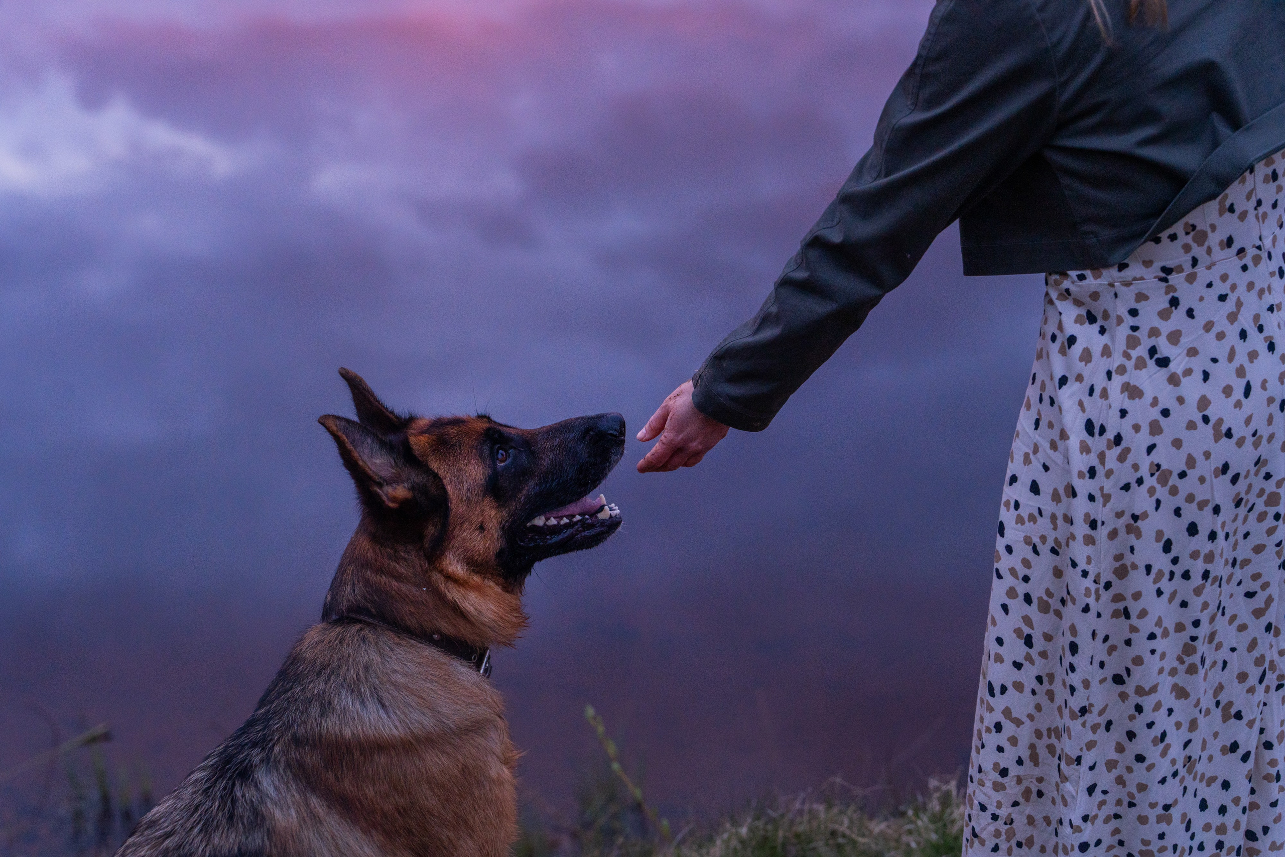 Евгения и Берта. Фотограф анималист в Москве и Санкт-Петербурге Свиридова Анна