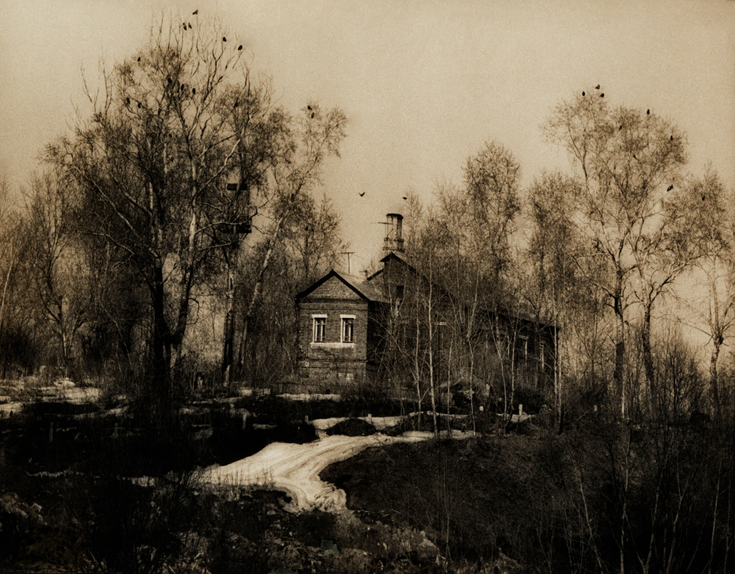 Sepia. Gueorgui Pinkhassov