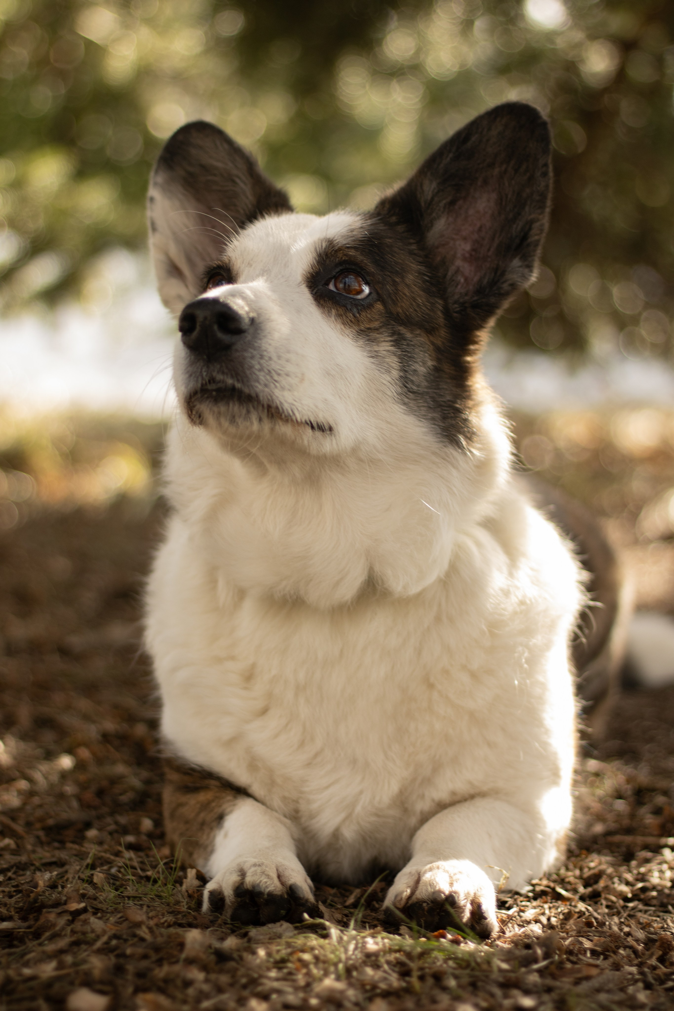 Юлия и Тэя. Катя Попова|ЛайфСтайл фотограф