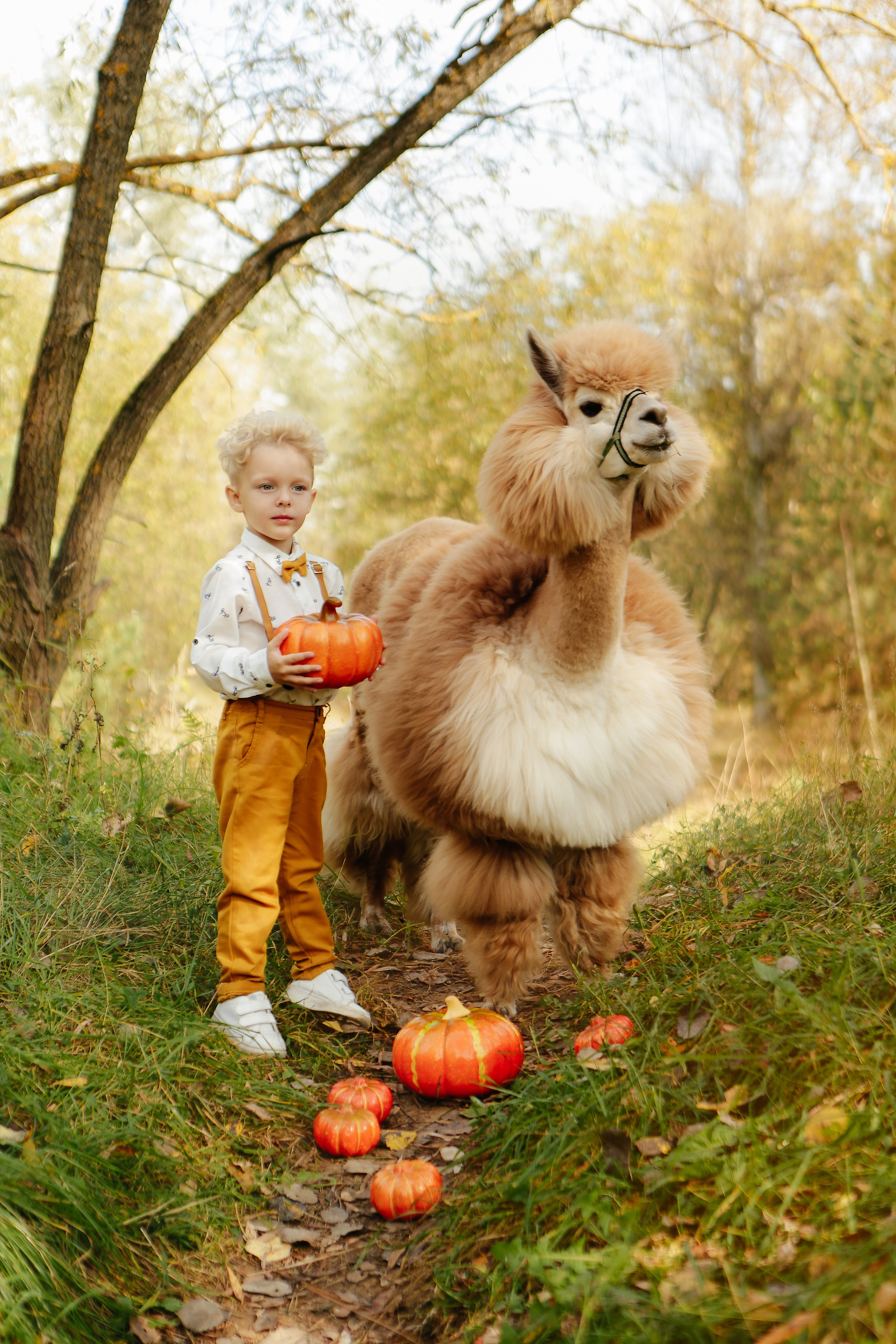 Альпаки. Семейный и детский фотограф в Москве Александра Мак