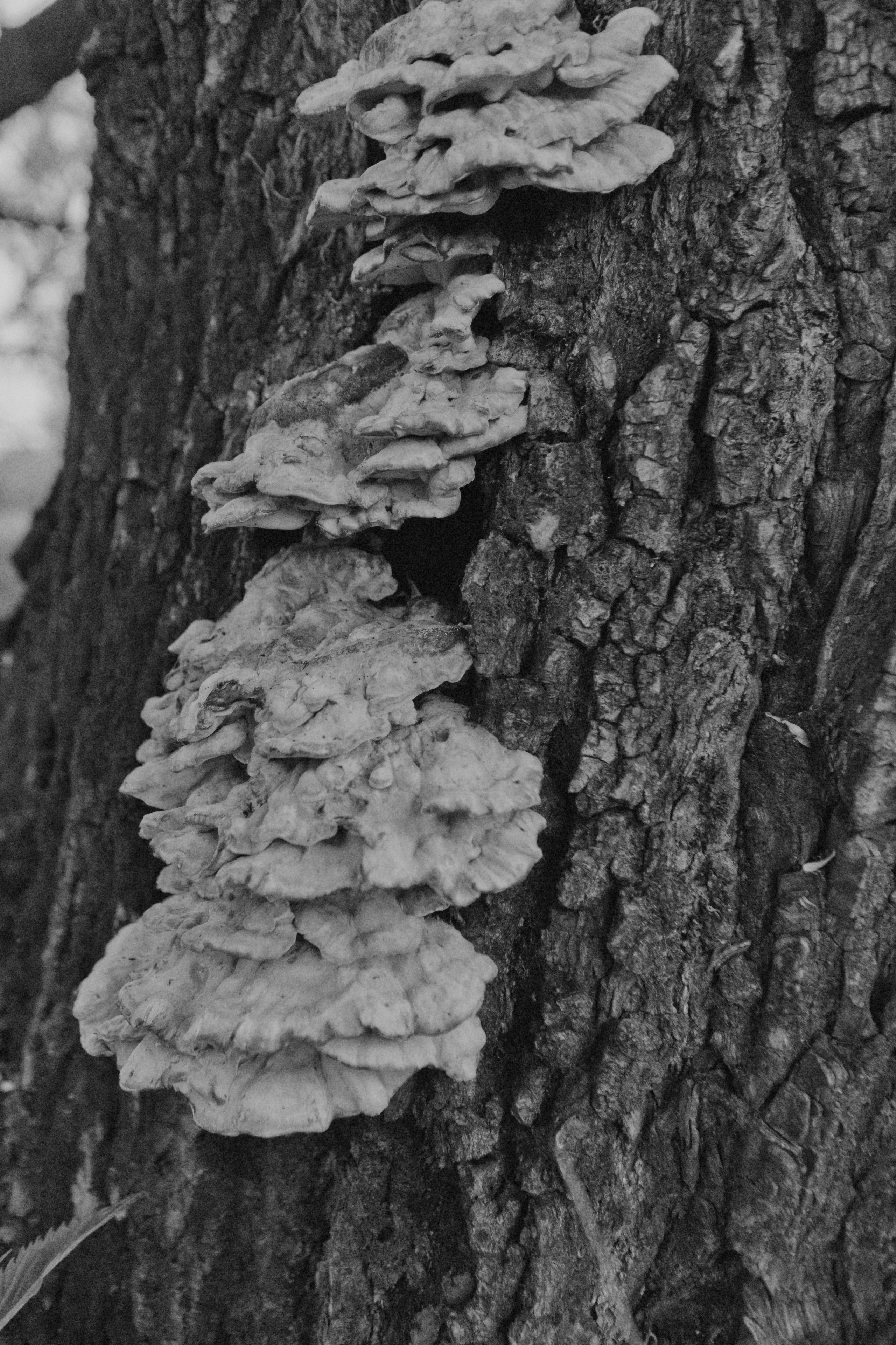 Рождённая природой. Фотограф в Омске Екатерина Павлова