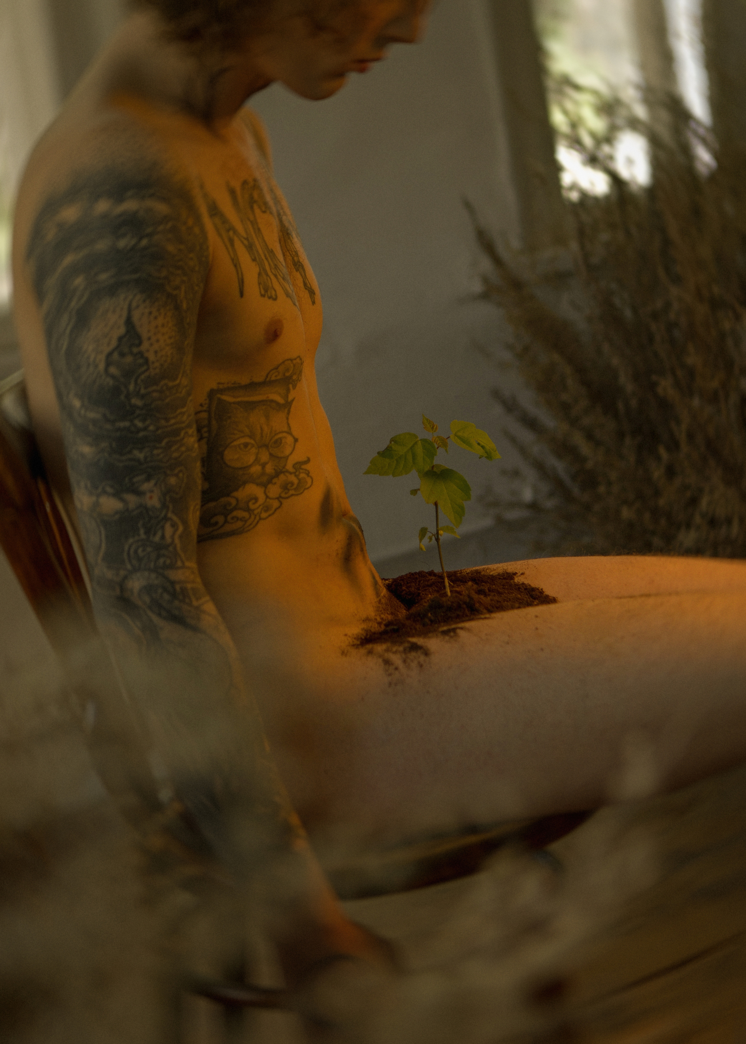 Я-растение. Фотограф в Омске Екатерина Павлова