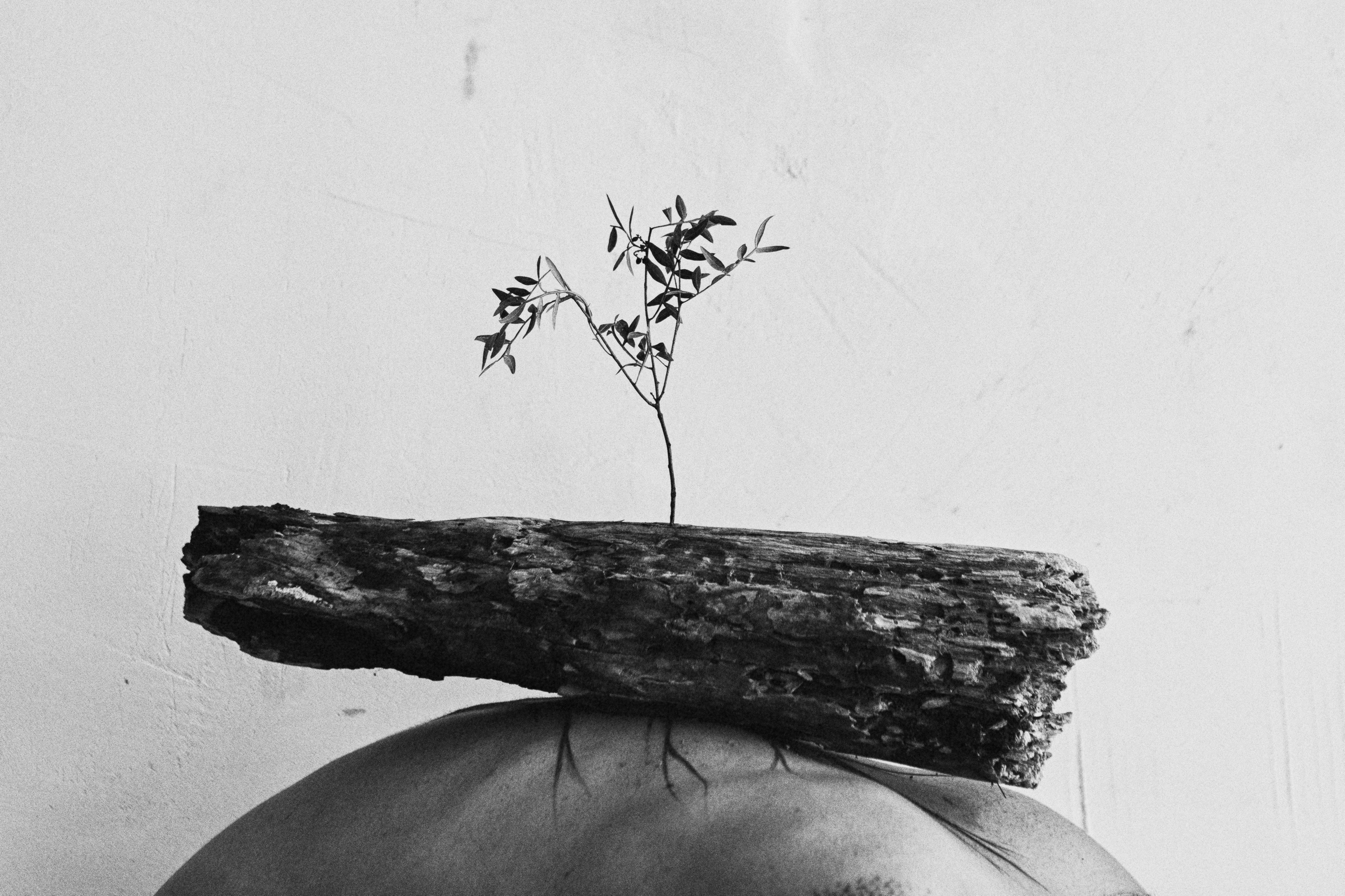 Я-растение. Фотограф в Омске Екатерина Павлова