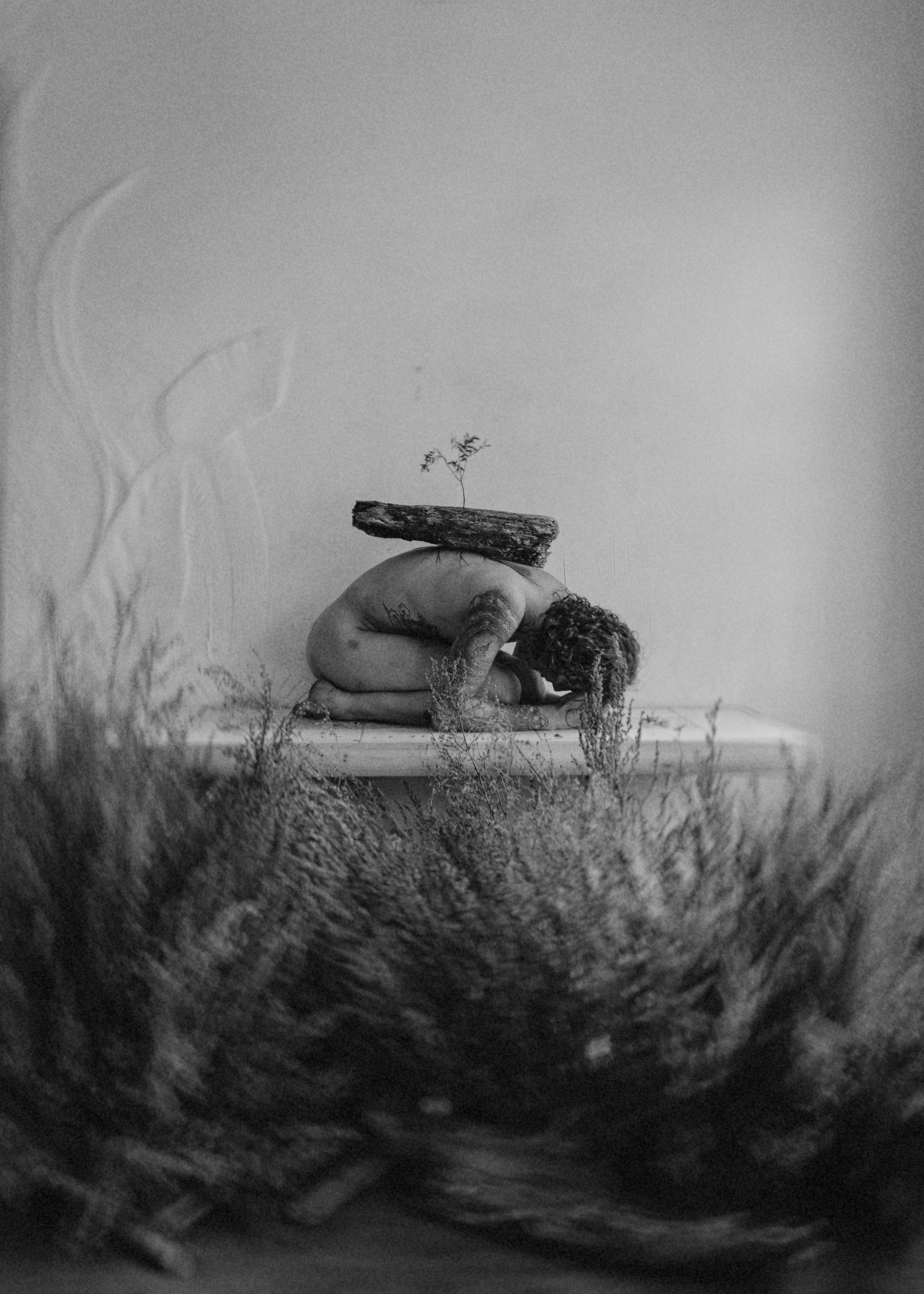 Я-растение. Фотограф в Омске Екатерина Павлова