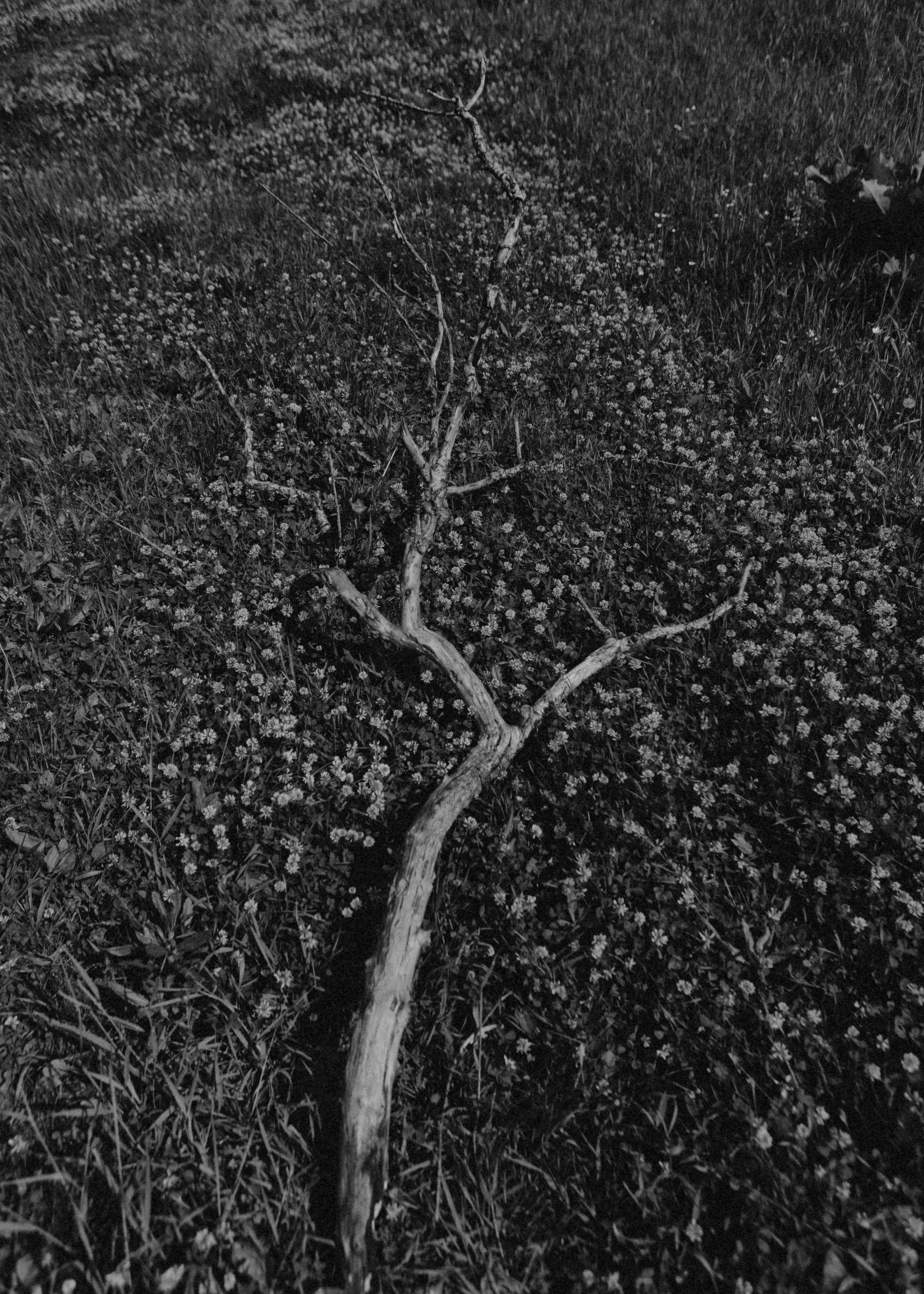 Рождённая природой. Фотограф в Омске Екатерина Павлова