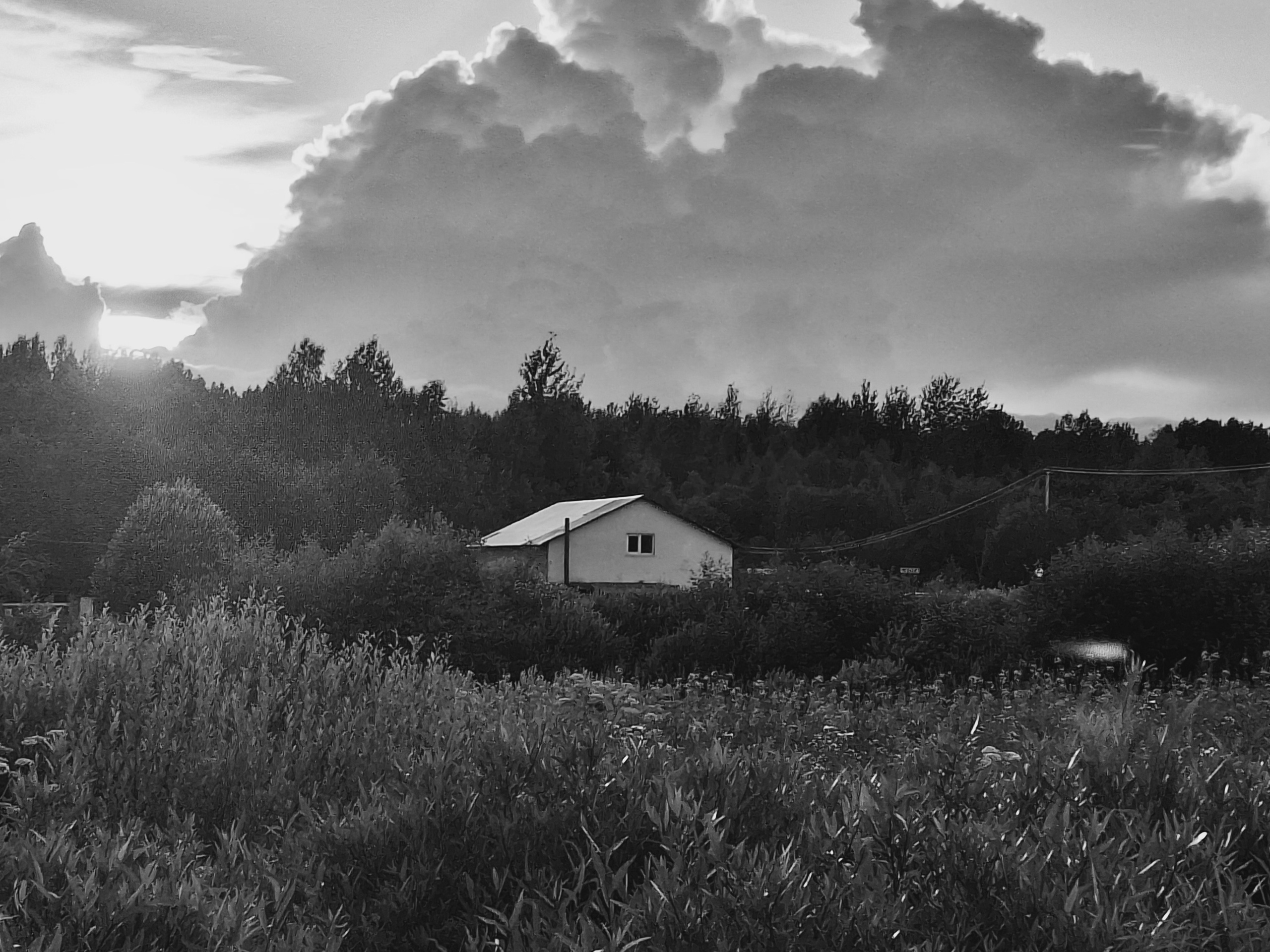 ㅤㅤ. Анна Мильч