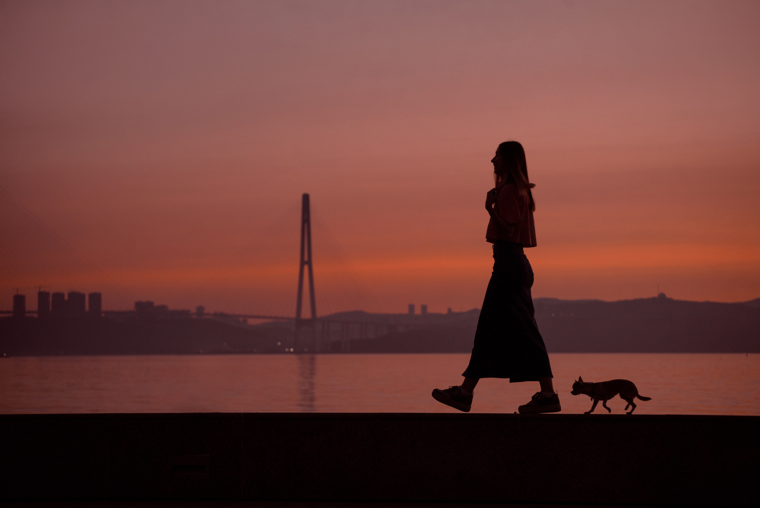 Прогулка: чихуахуа Хенни и Алина во Владивостоке. Портфолио