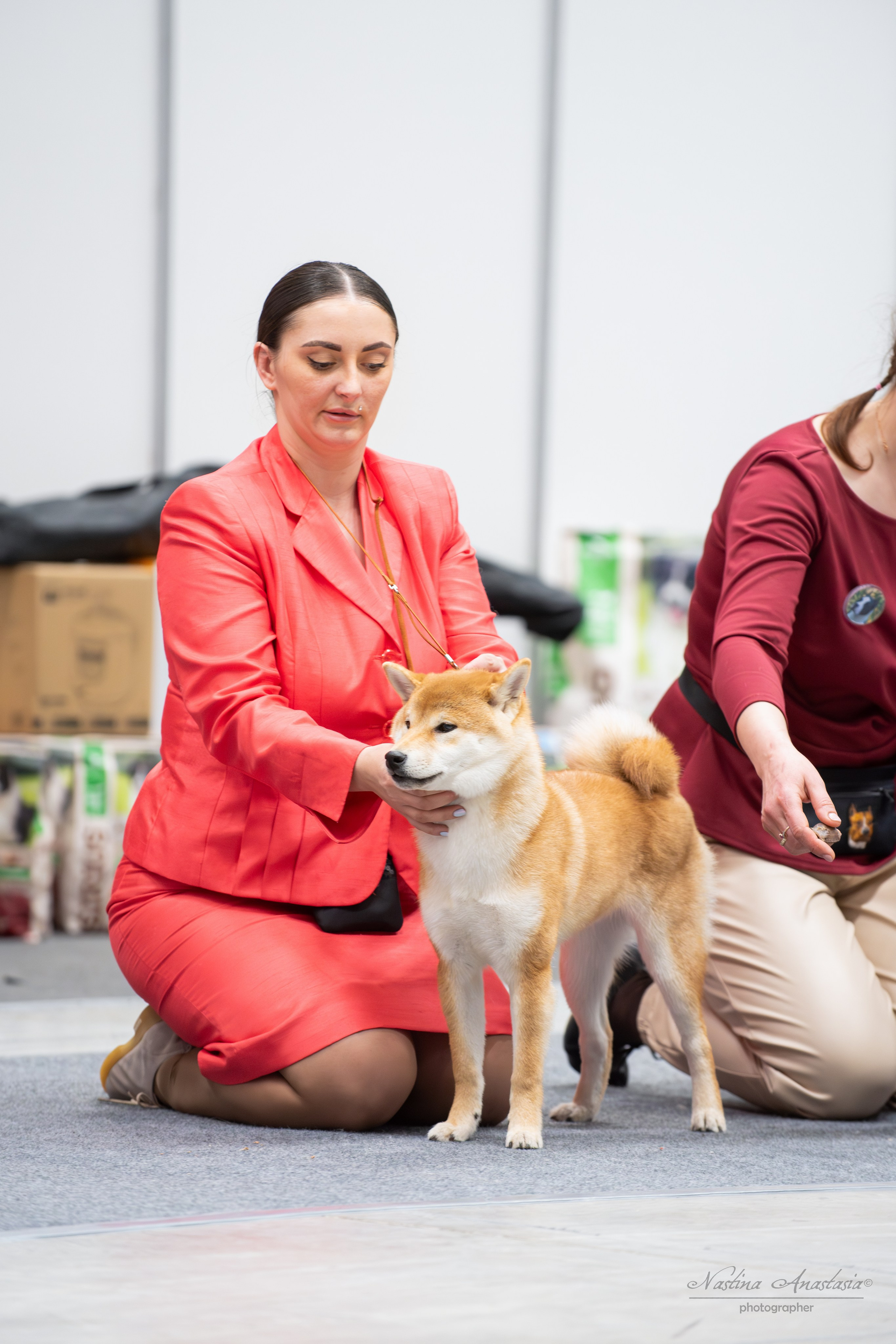 Выставки. Фотограф — Анималист