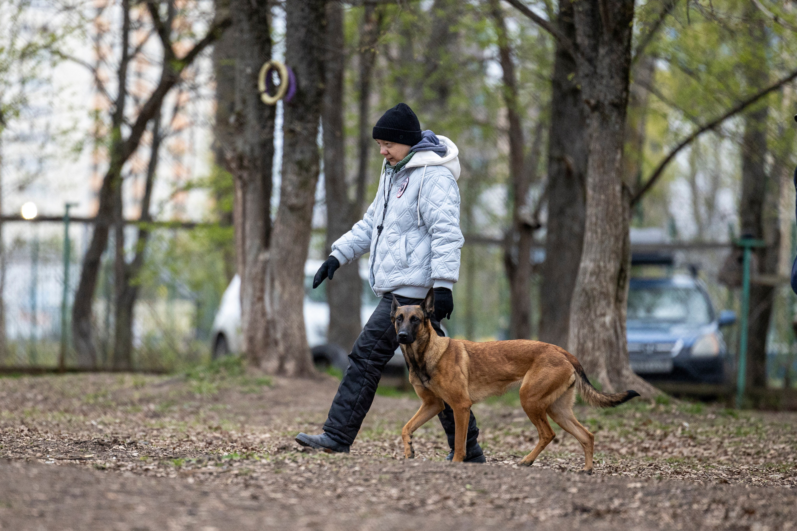 Квалификационные состязания по мондьорингу г. Вологда 11.05.24. Фотограф-анималист Анна Маринич
