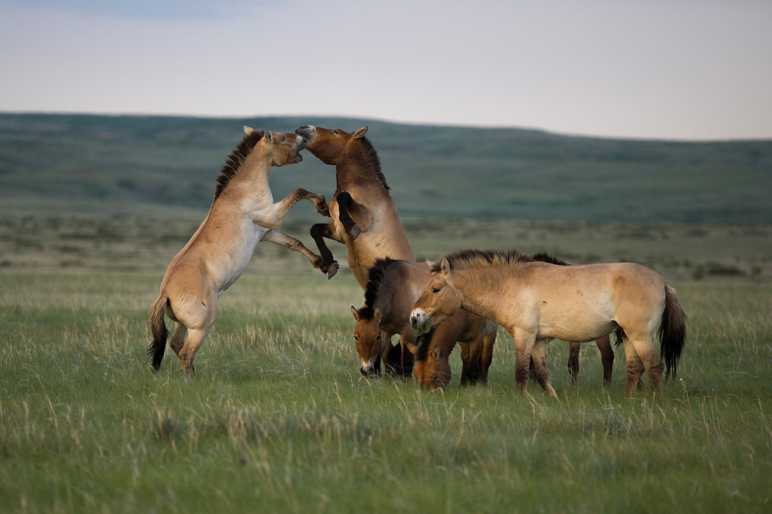 Оренбуржье. Портретный фотограф в Челябинске Катерина Руди