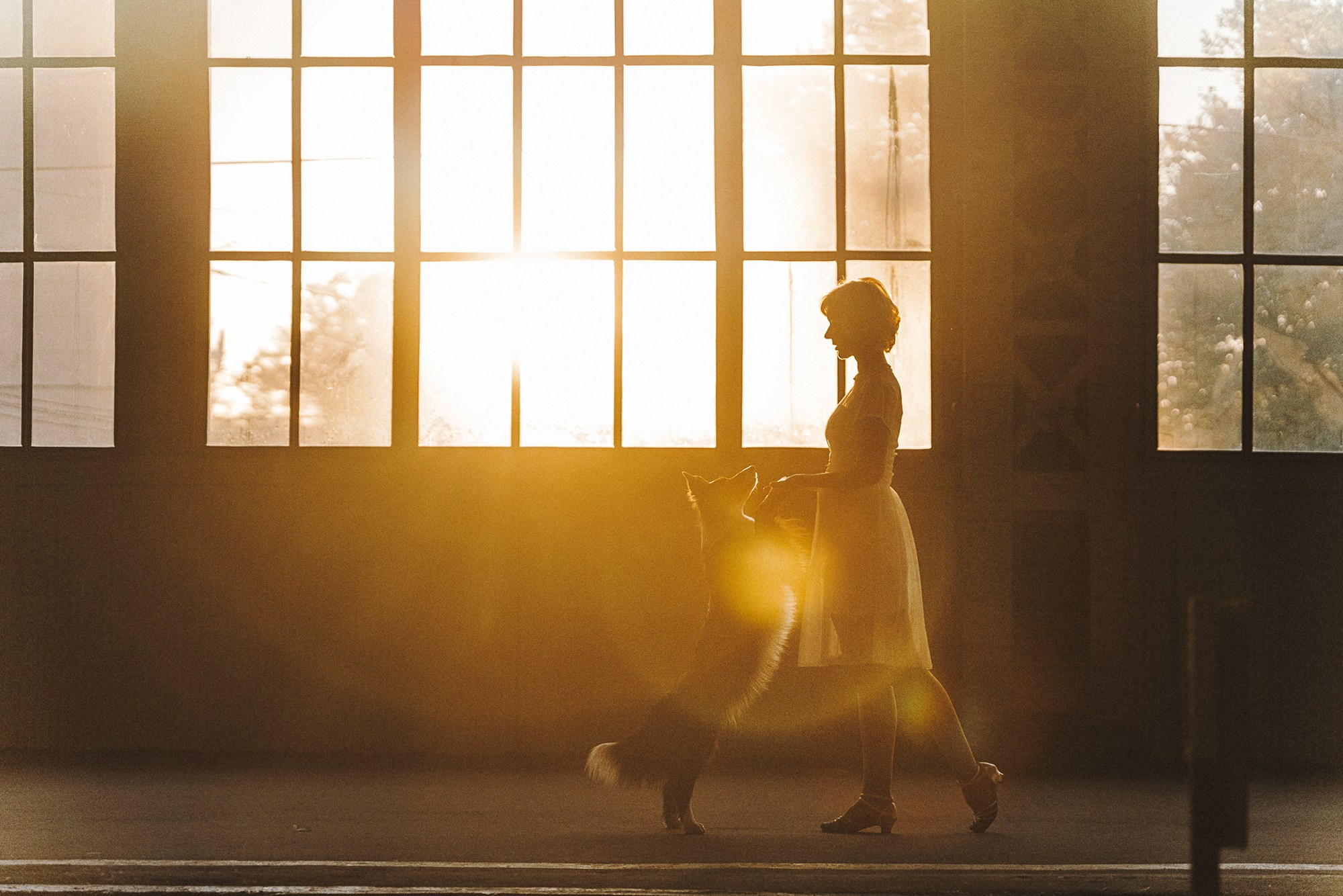 Таня, Марта и Клипса. Фотограф анималист в Москве и Санкт-Петербурге Свиридова Анна