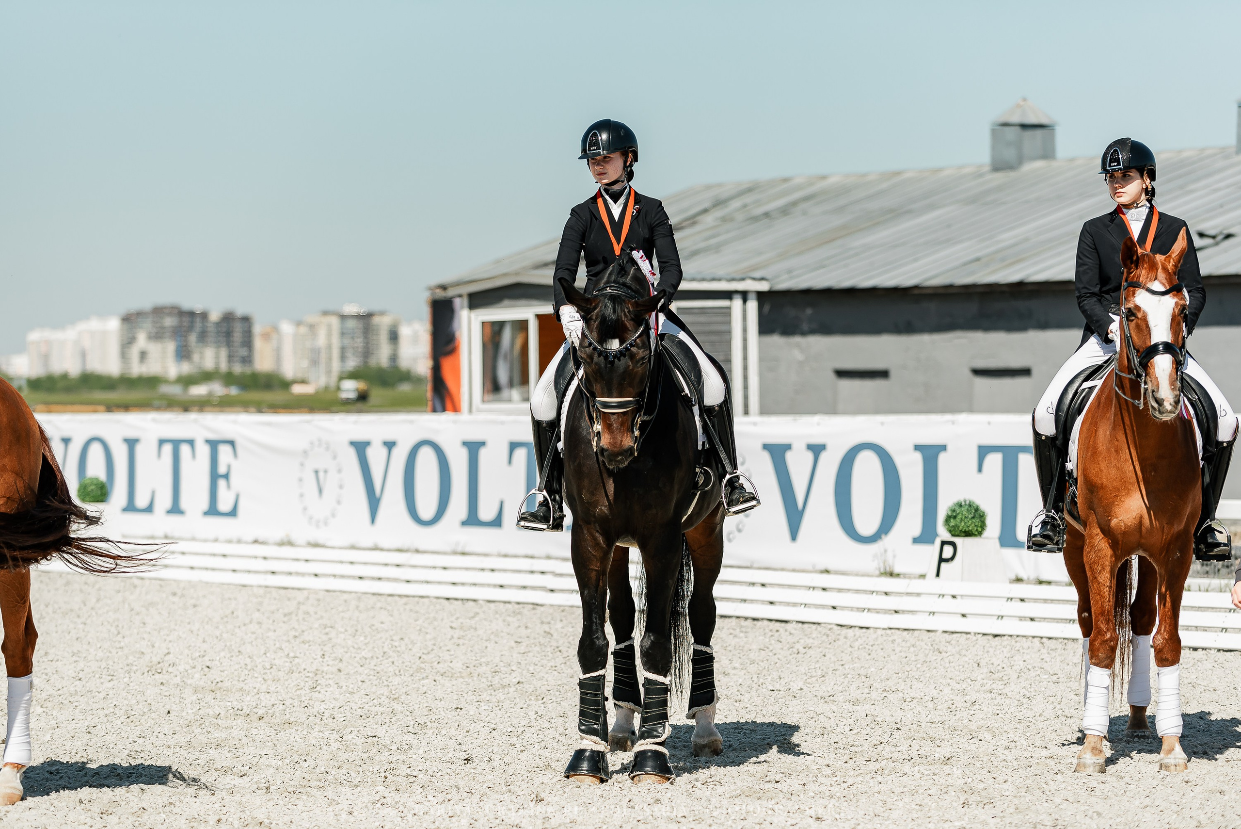 РЕПОРТАЖ МКК ВОЛЬТ «LA TULIPS». Конный фотограф Куракина Дарья • Фотосессии с лошадьми