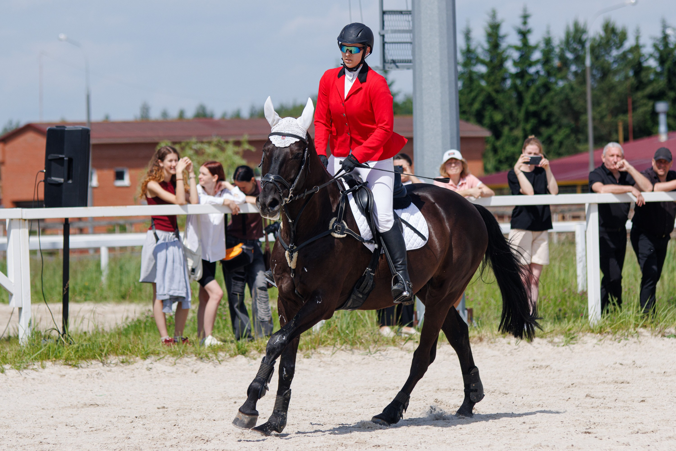 Конный спорт. Спортивный фотограф Вадим Добедченков