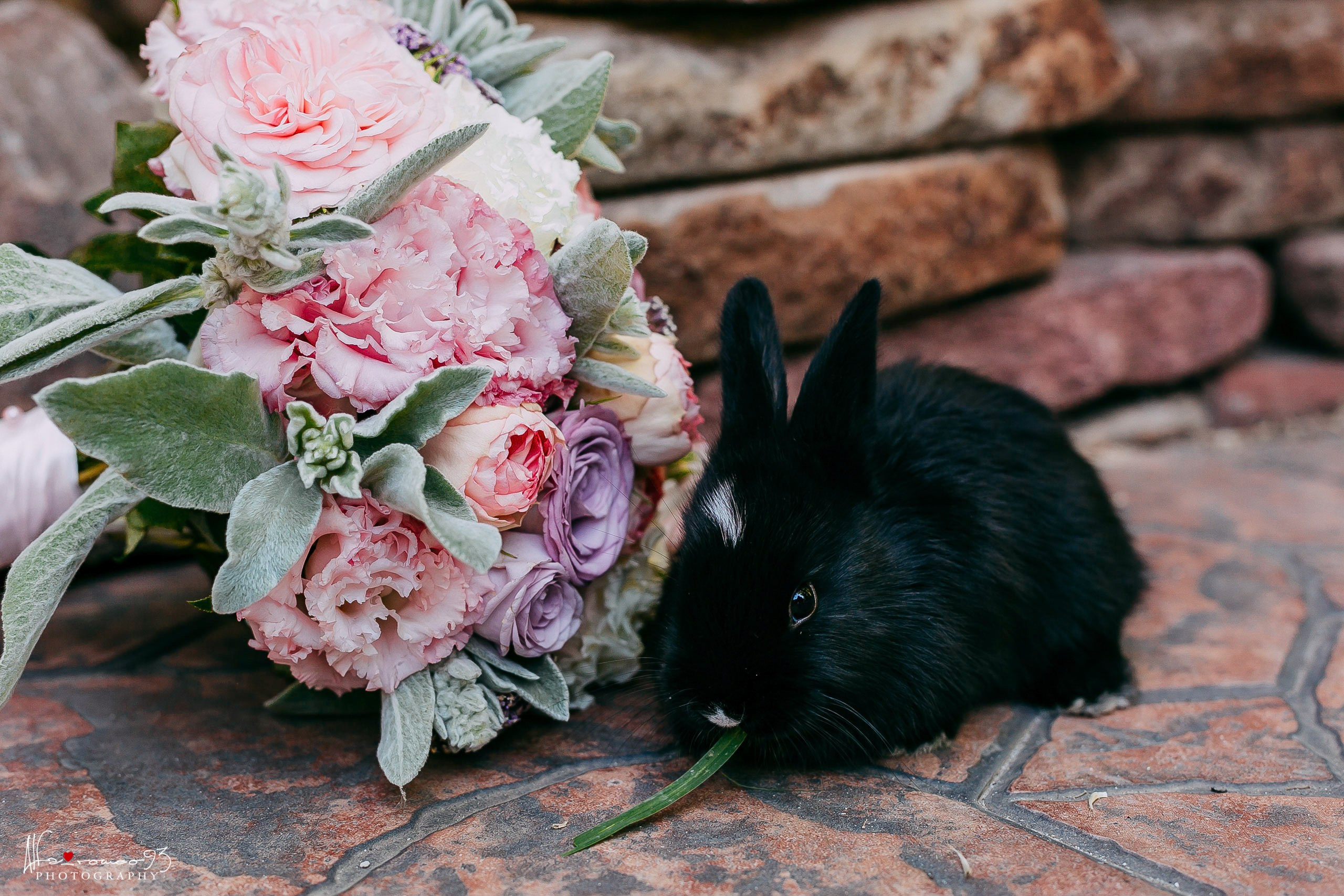 Wedding day 9.08.2021. Фотограф Видеограф