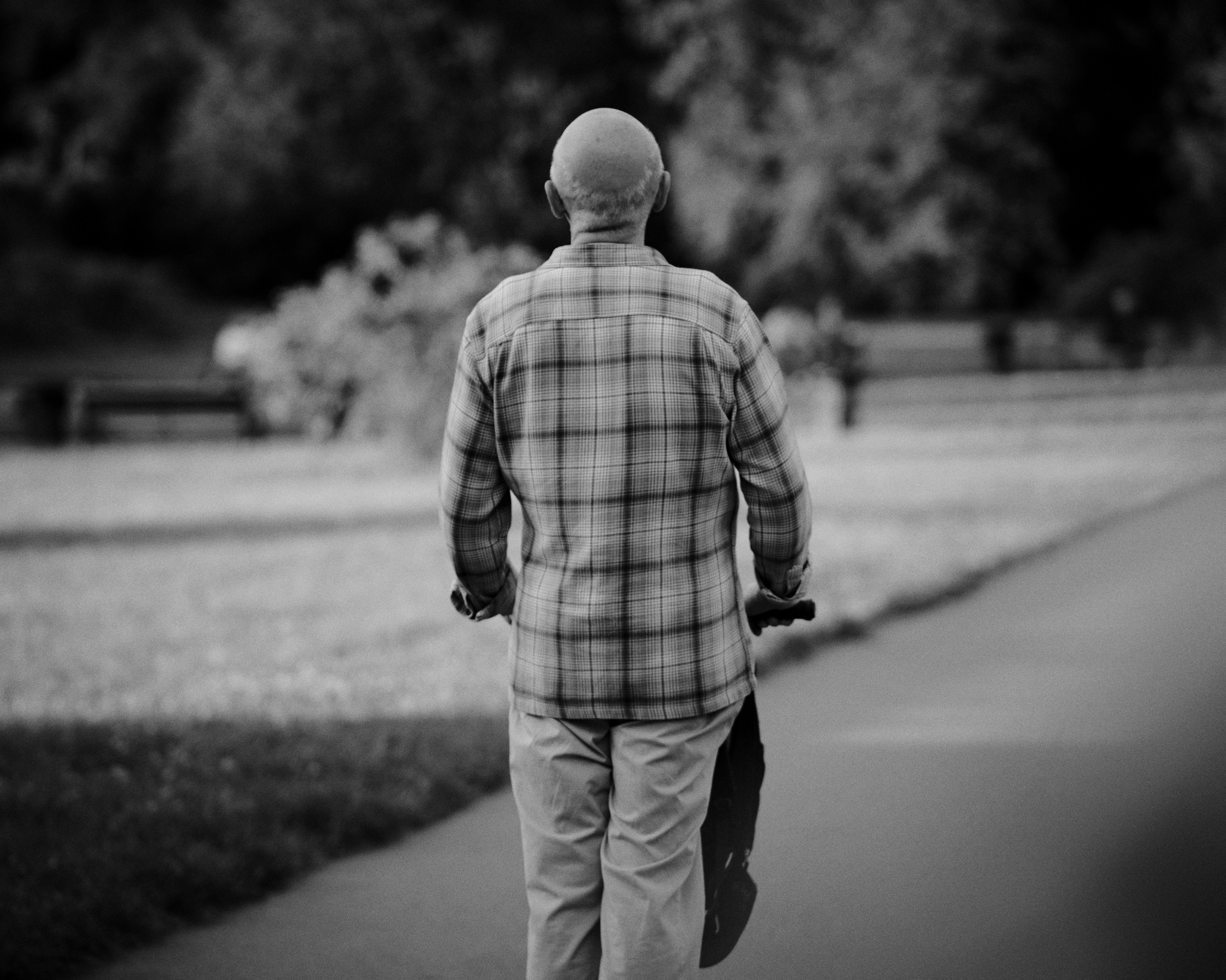 Other. Dmitry Ippolitov