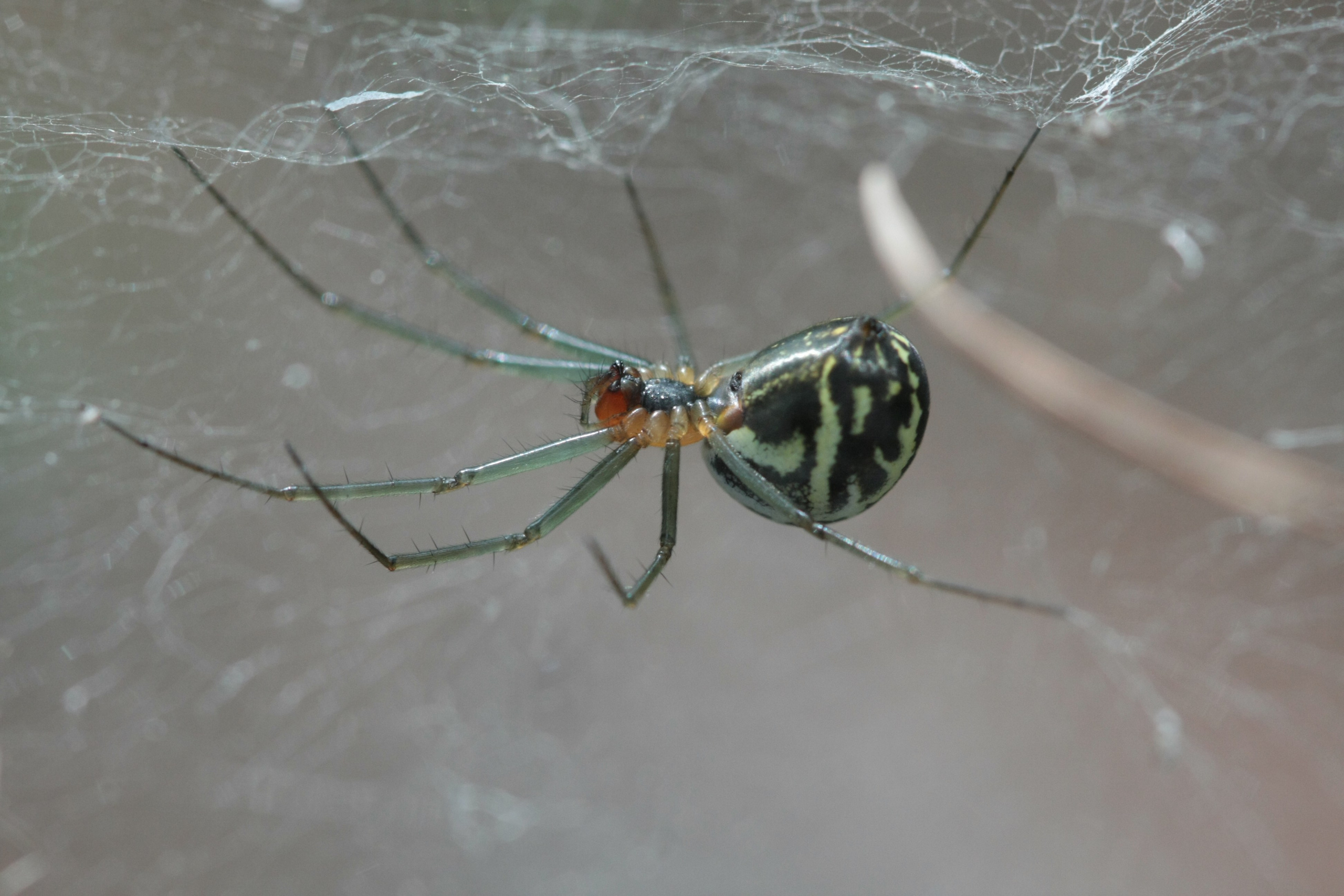 Фото Природы Забайкалья. Студия Максима Белослюдцева