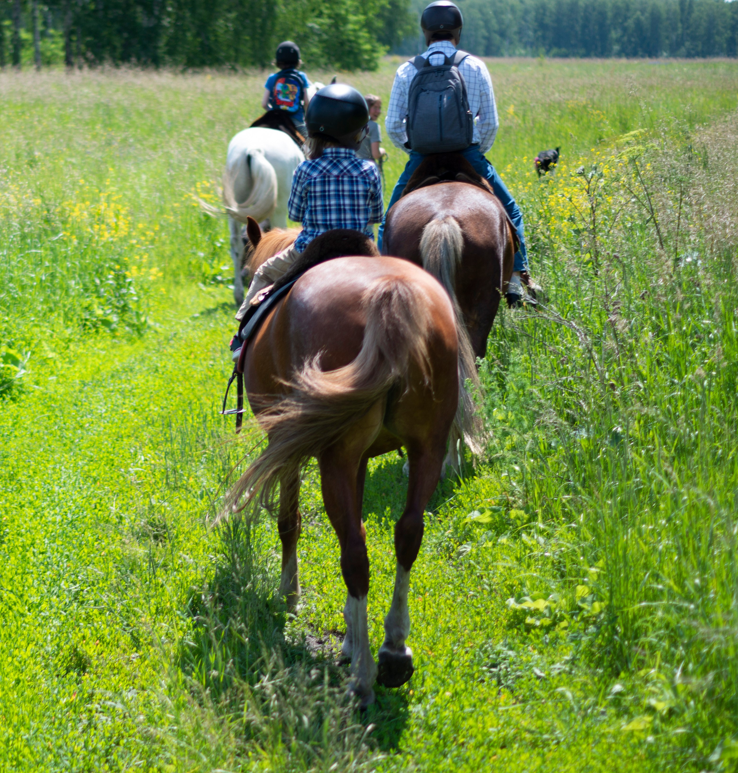 ДЕТИ & ЛОШАДИ. Фотограф Марина Доглядная Челябинск фотосессии с лошадьми, мотоциклами