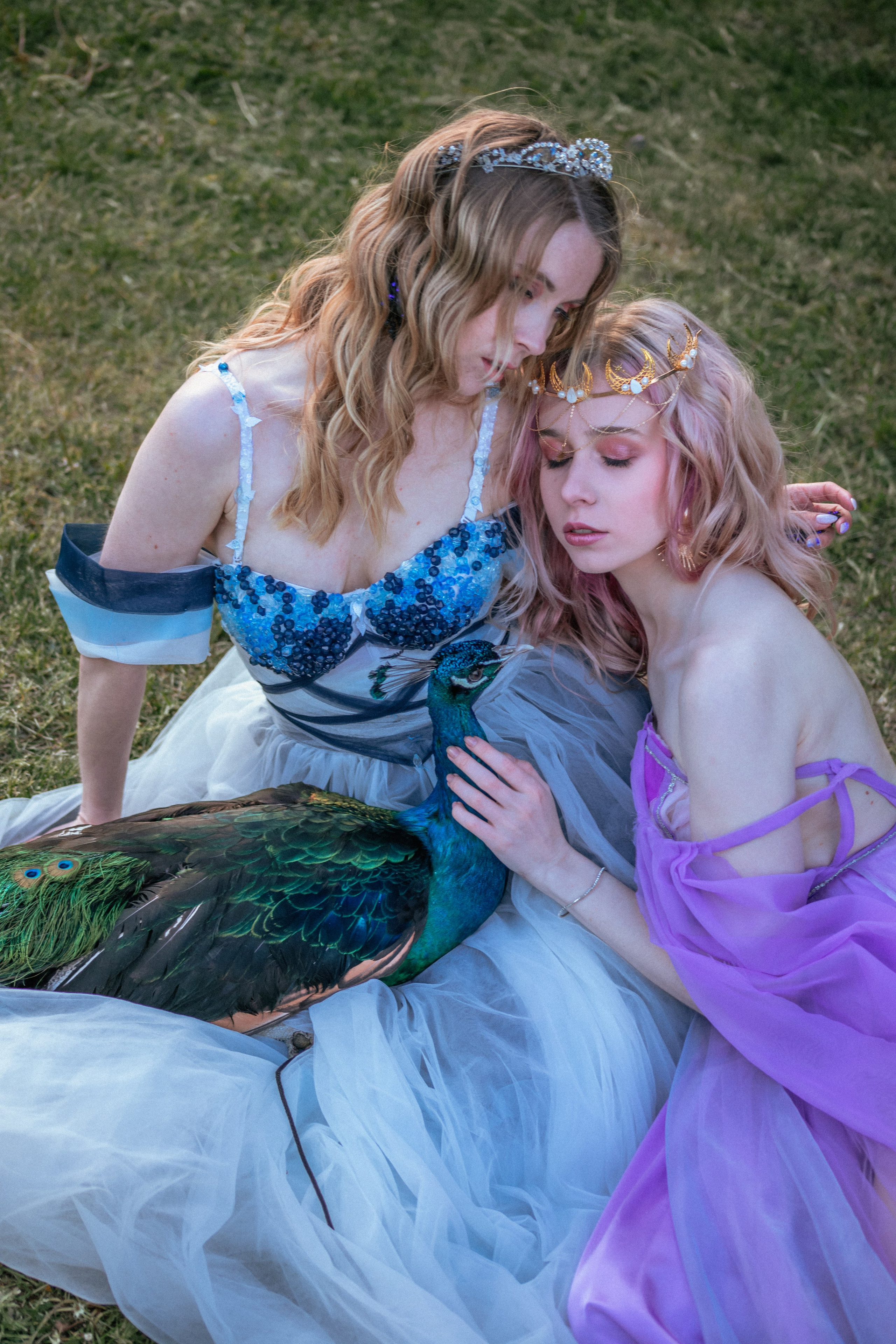 Павлин. Elena Sova — семейный и женский фотограф в Санкт-Петербурге