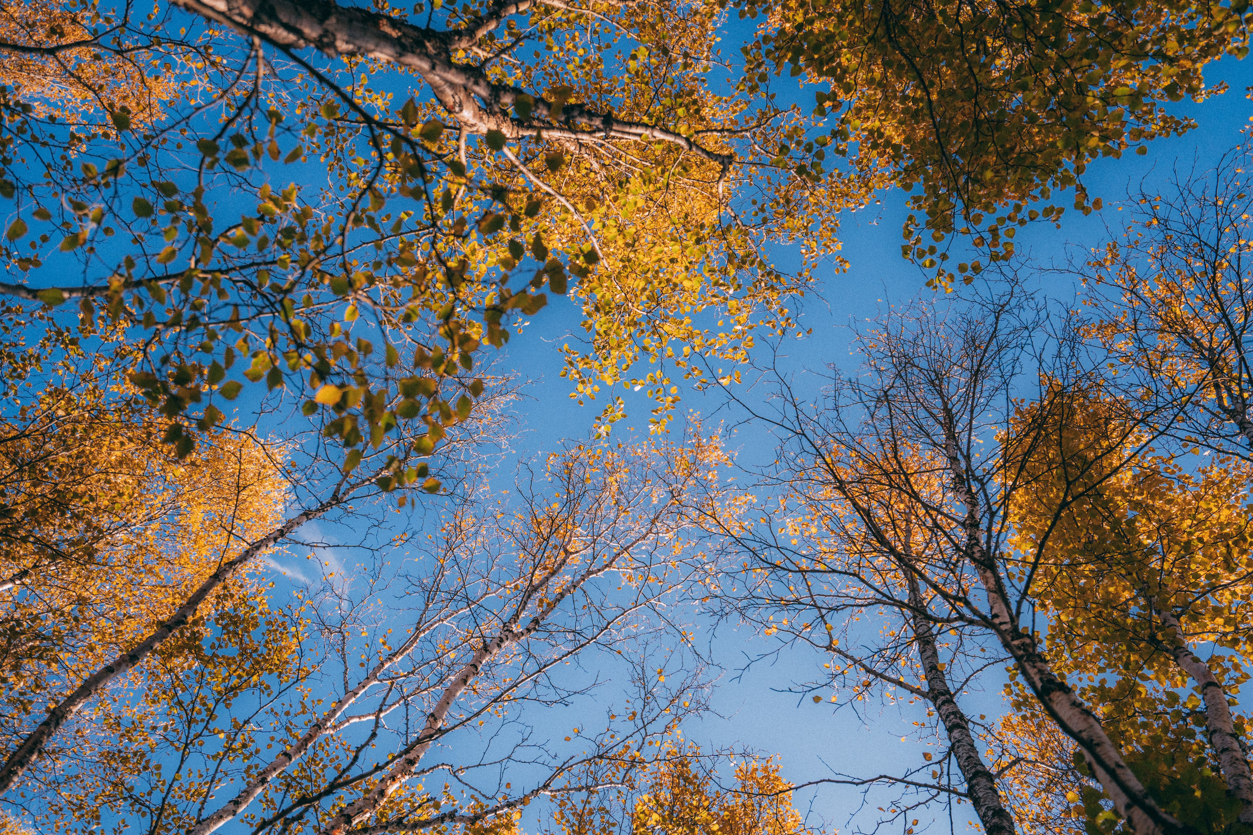Мурманск. Фотограф Алиса Аспер