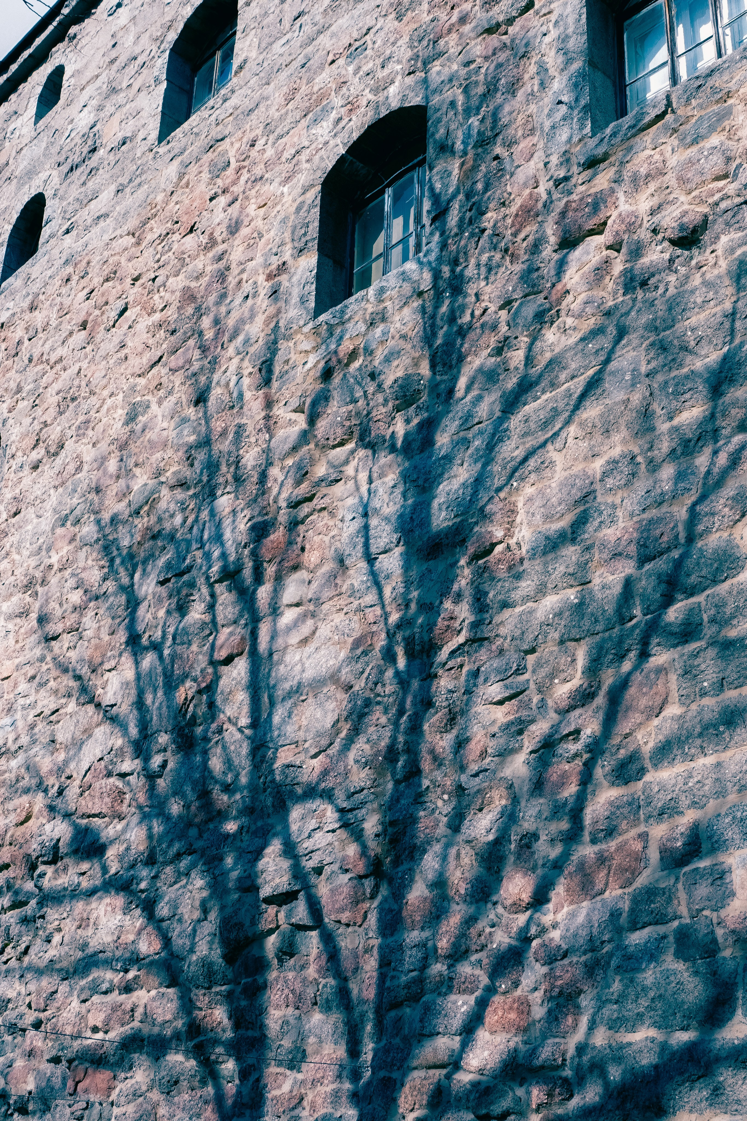 Выборг. Фотограф Алиса Аспер