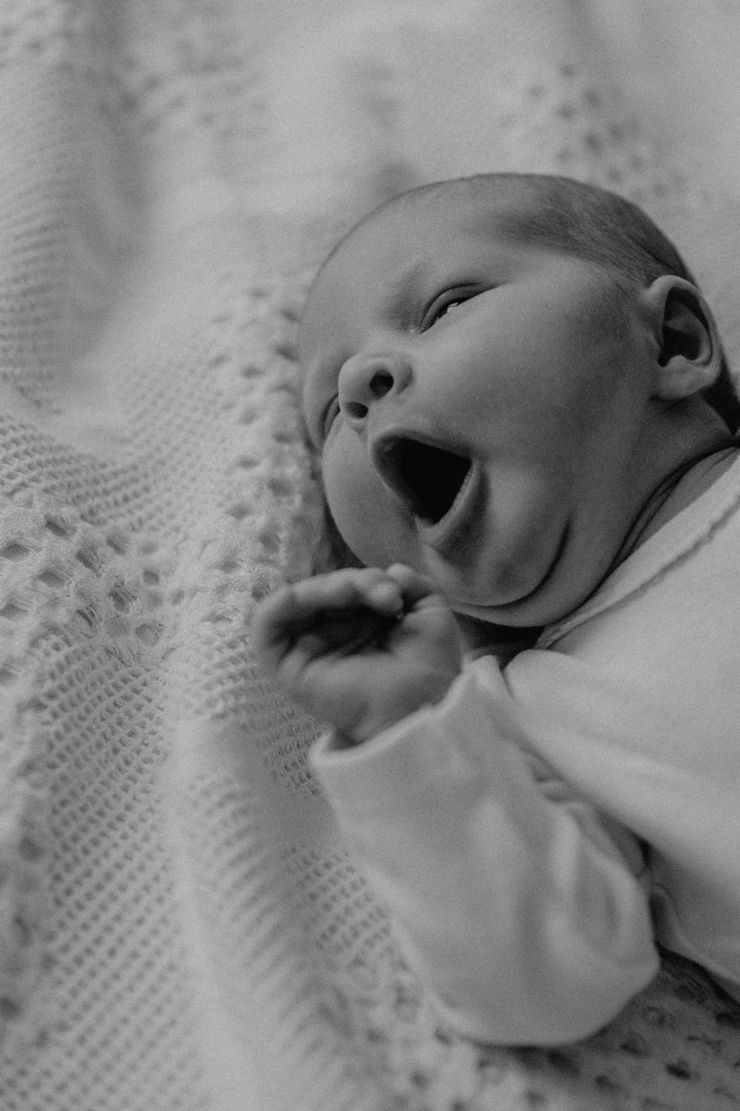 Злата, Егор и Афина. Семейный фотограф Земскова Евгения