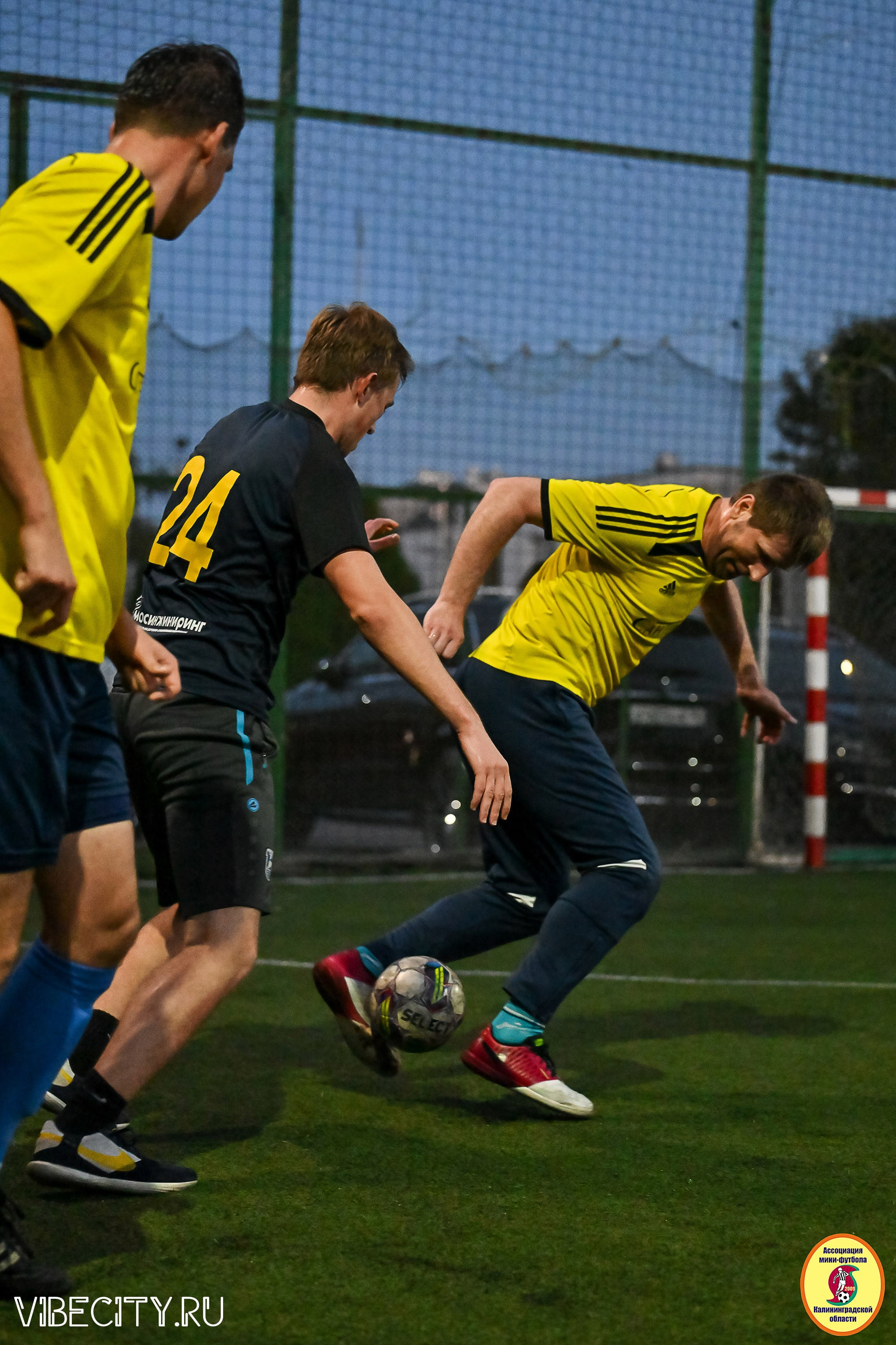 ФИНАЛЬНЫЕ ИГРЫ КУБКА МИНИ-ФУТБОЛЬНОЙ ЛИГИ И КУБКА КОРПОРАТИВНОЙ МФЛ 2025. VIBECITY.RU Вайб Сити Ру Фоторепортажи Фотоотчеты Калининград