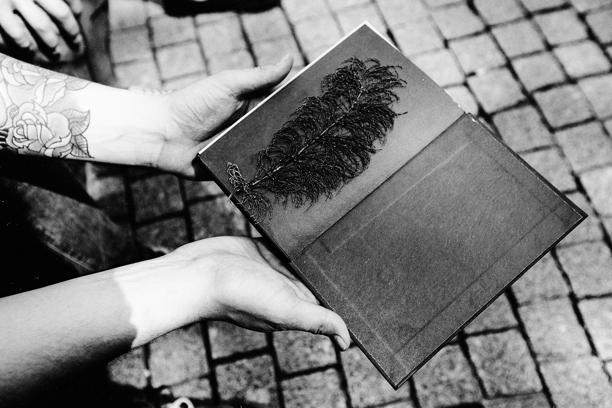 Роад-трип СПБ-Москва Hvosch Vestiges 2014. Фотограф Мария Немм