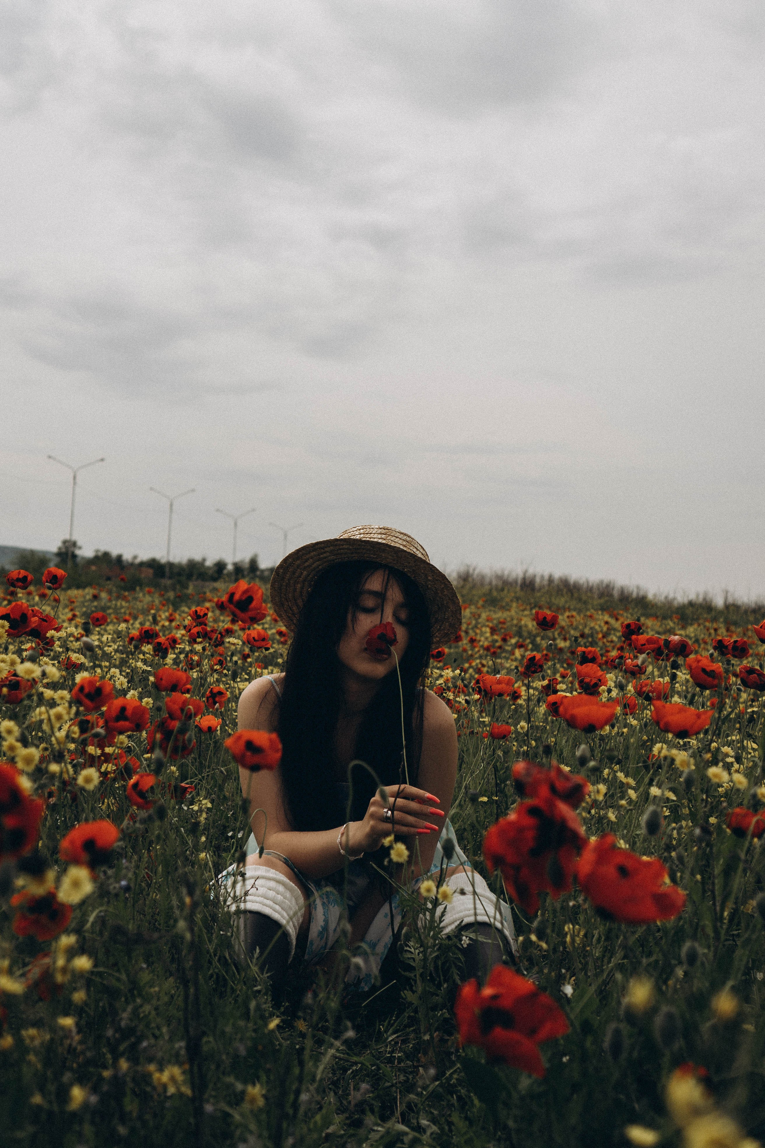 Цветочная поляна. Профессиональный фотограф, Санкт-Петербург — Виктория Богомолова