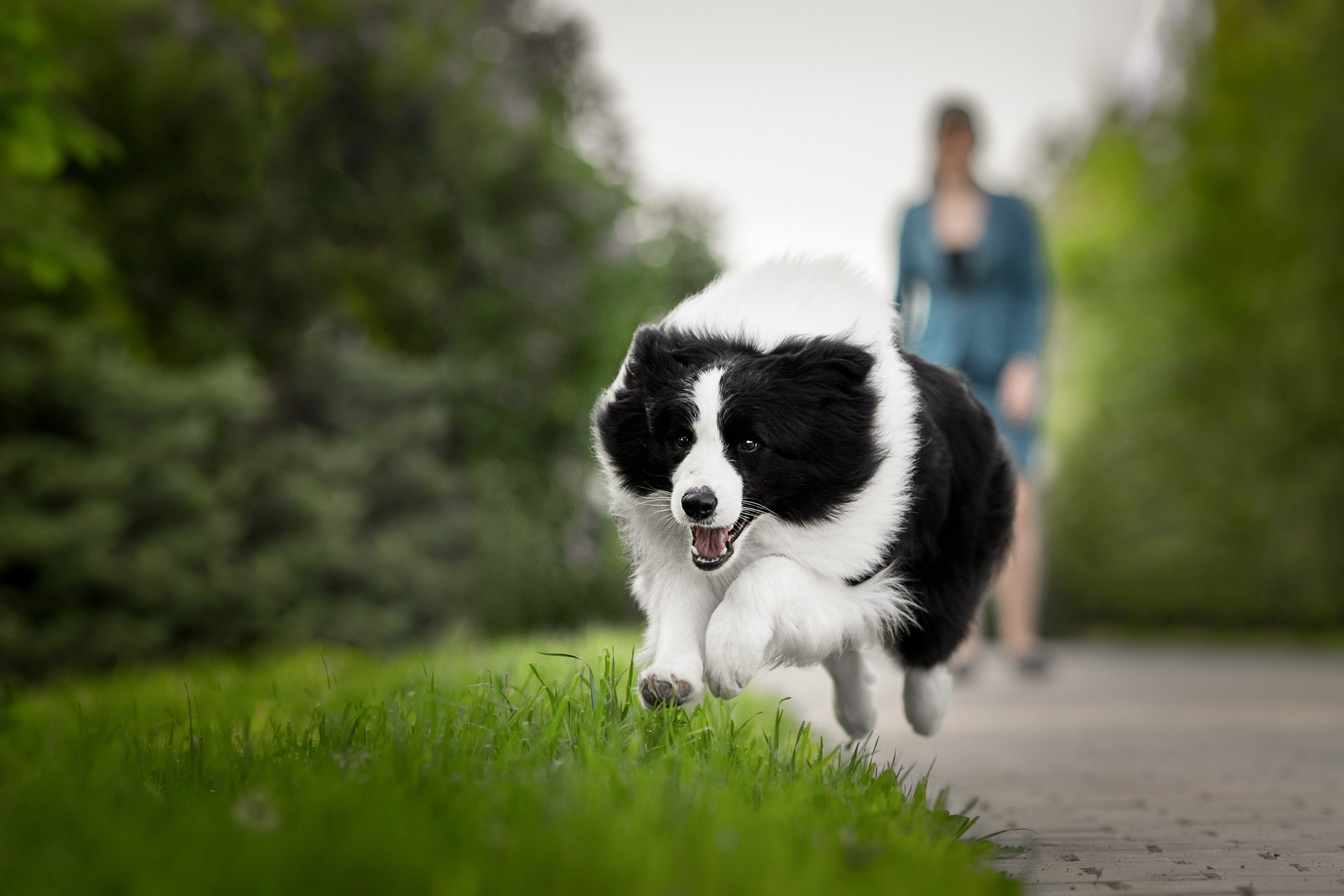 Роскошь в ростошах. О нас