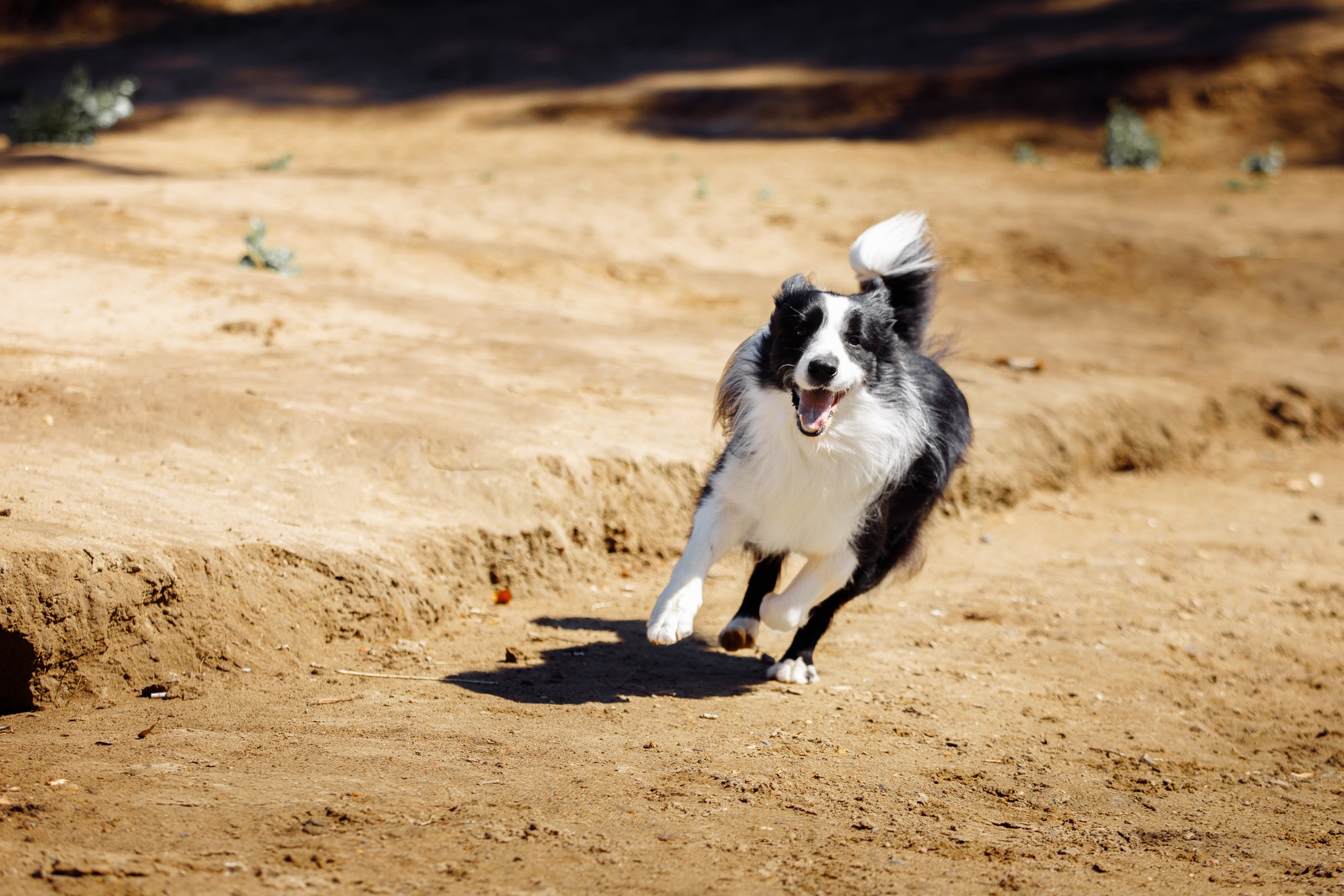 Водяные в Новотроицке. О нас