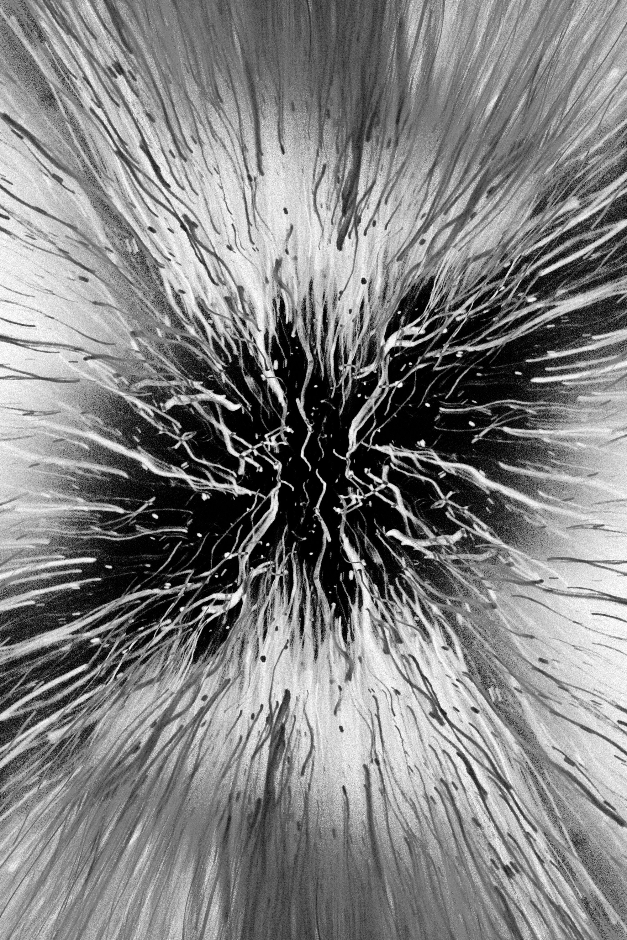 Отель Долгорукий не то чем кажется. Репортажный и портретный фотограф во Владимире Сергей Кравцов