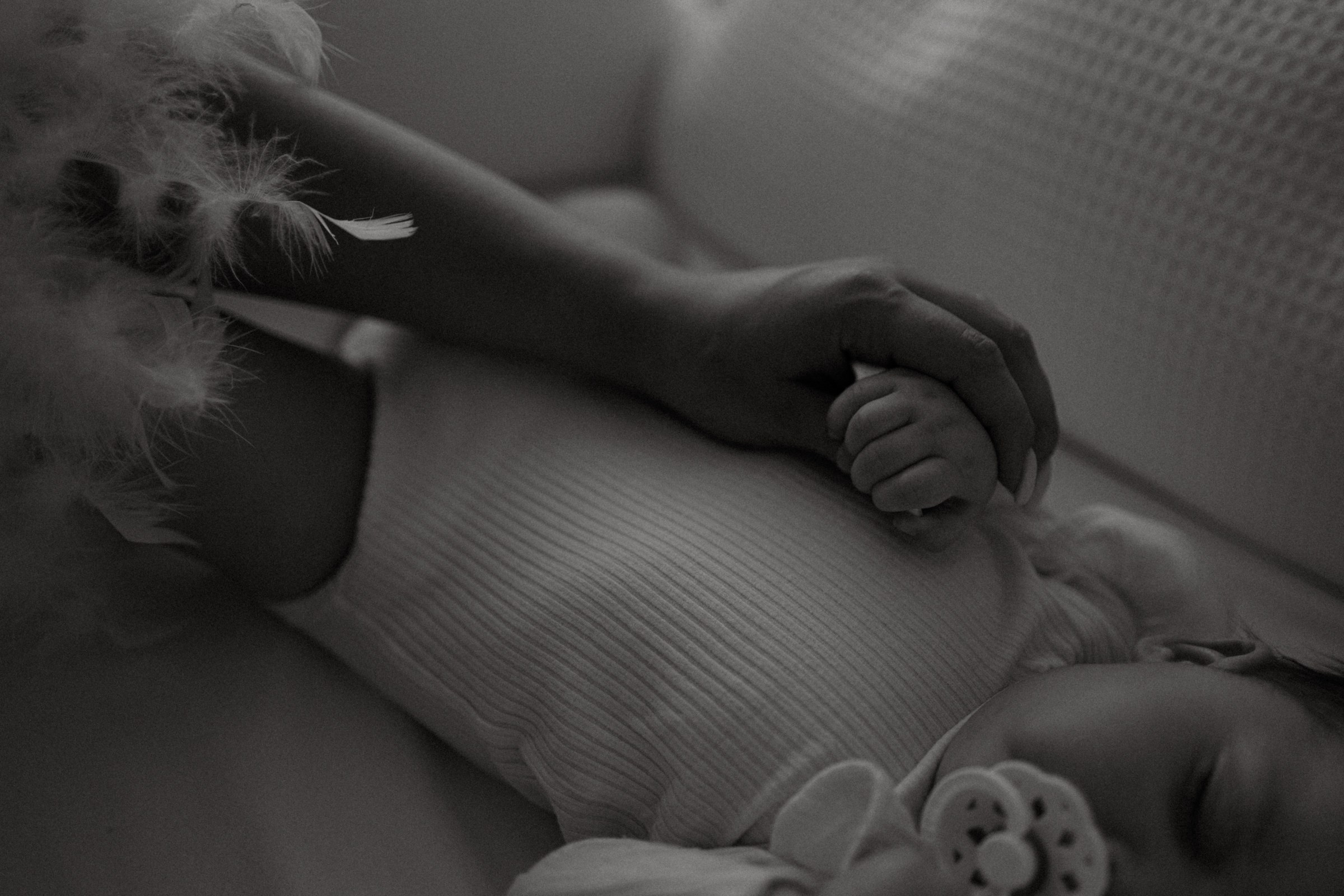 Усатый нянь. Фотограф Daria Wilner