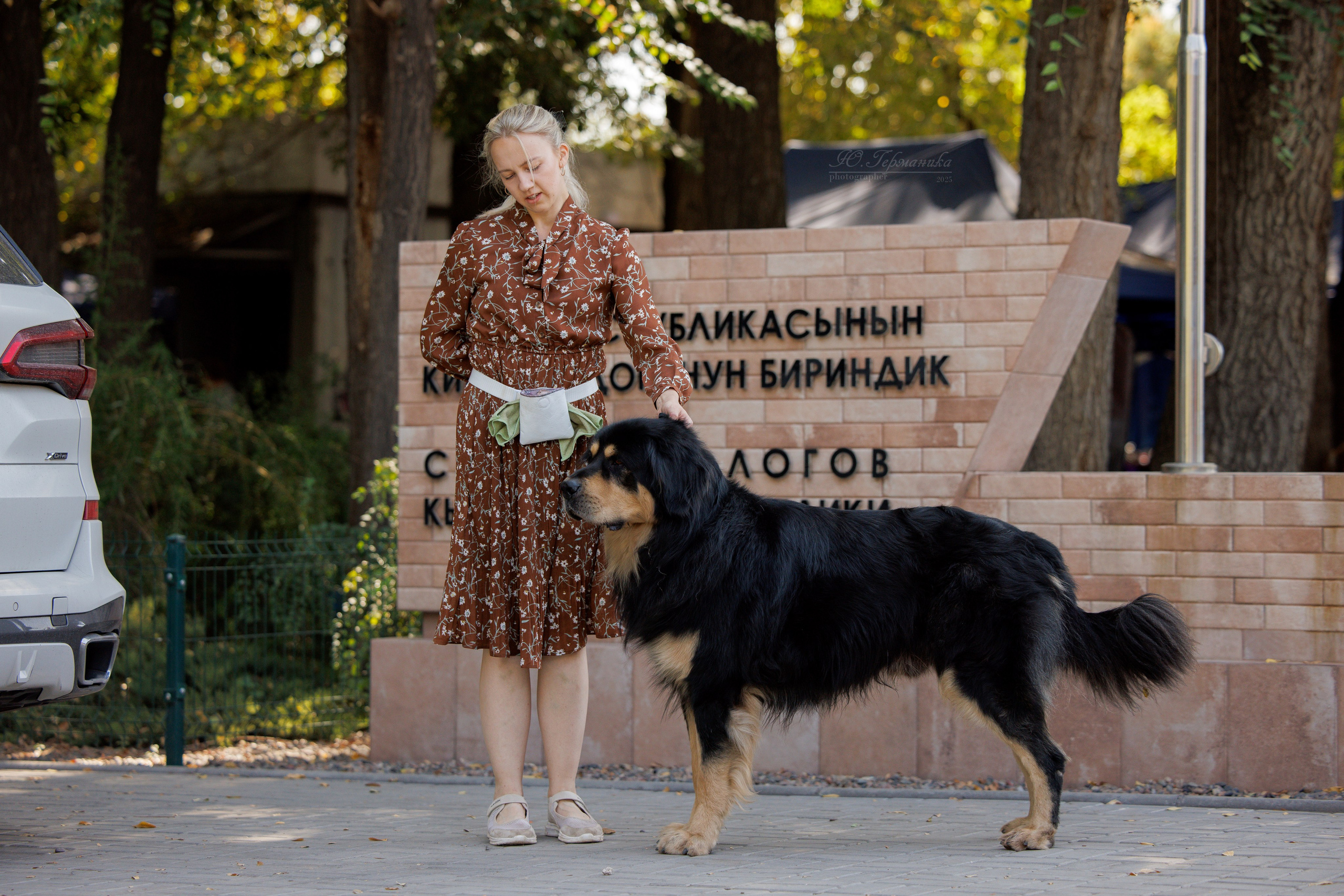 Бишкек 3х CACIB 26-28.09.2025. Фотограф-анималист Юлия Германика